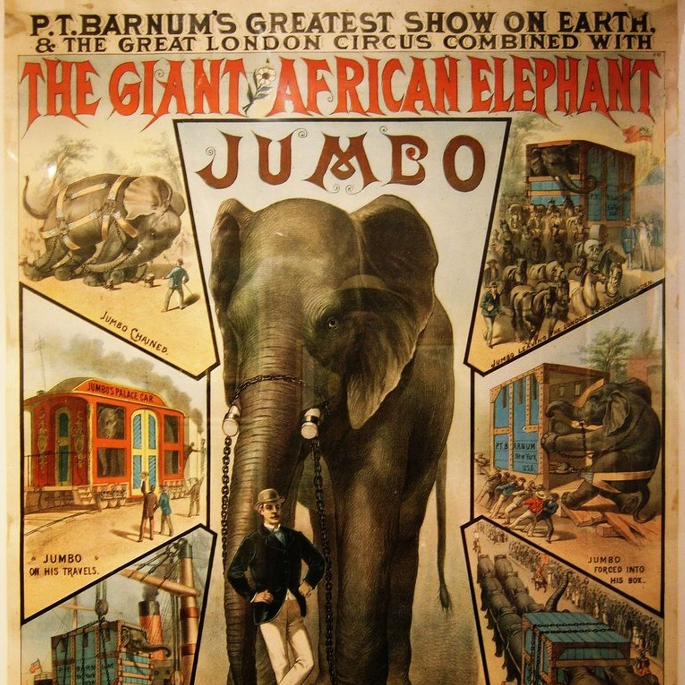 Un caffé con lo storico - Jumbo, un elefante in America episode artwork