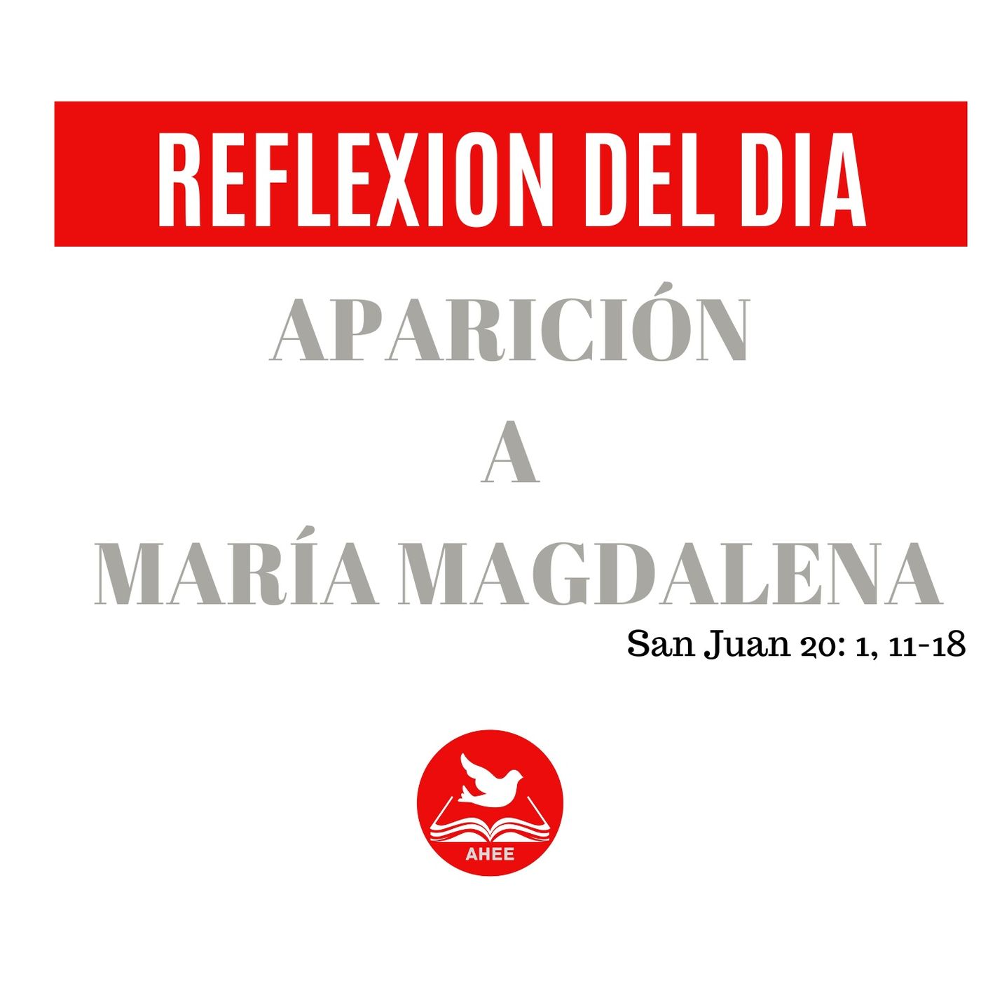 Reflexiones  del día
