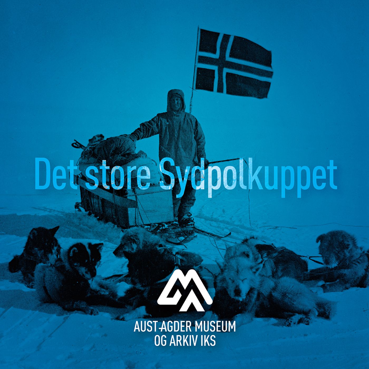 Polarpionerene