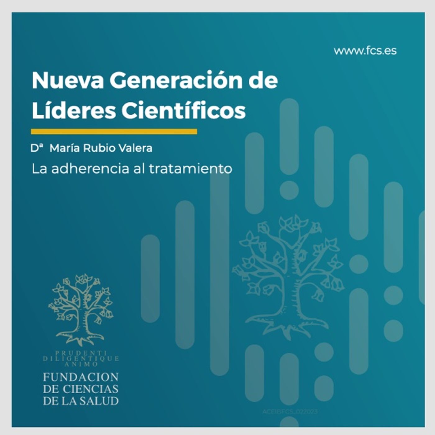 Sesión VIII. "La adherencia al tratamiento". Dª. María Rubio Valera