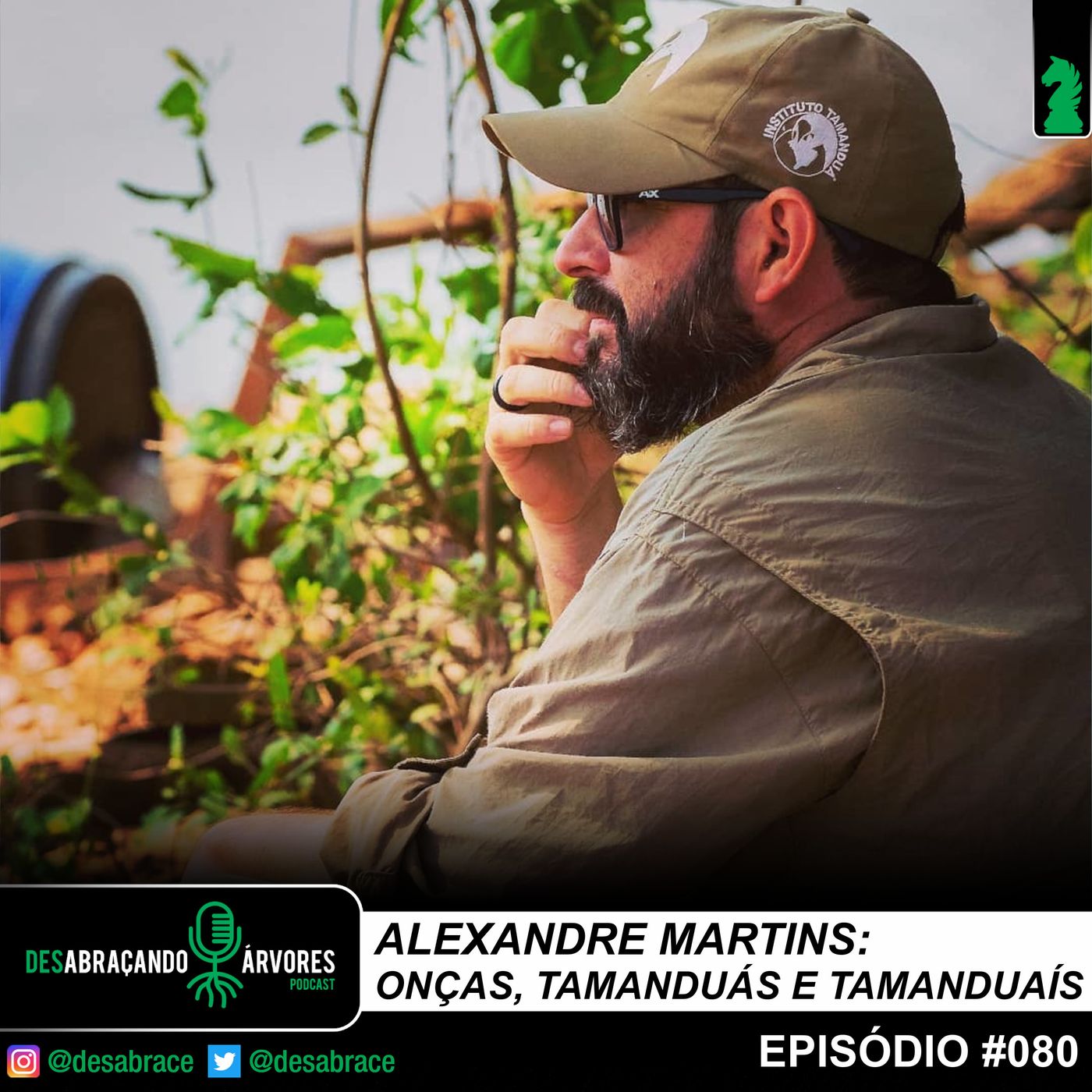 DesAbraçando Árvores