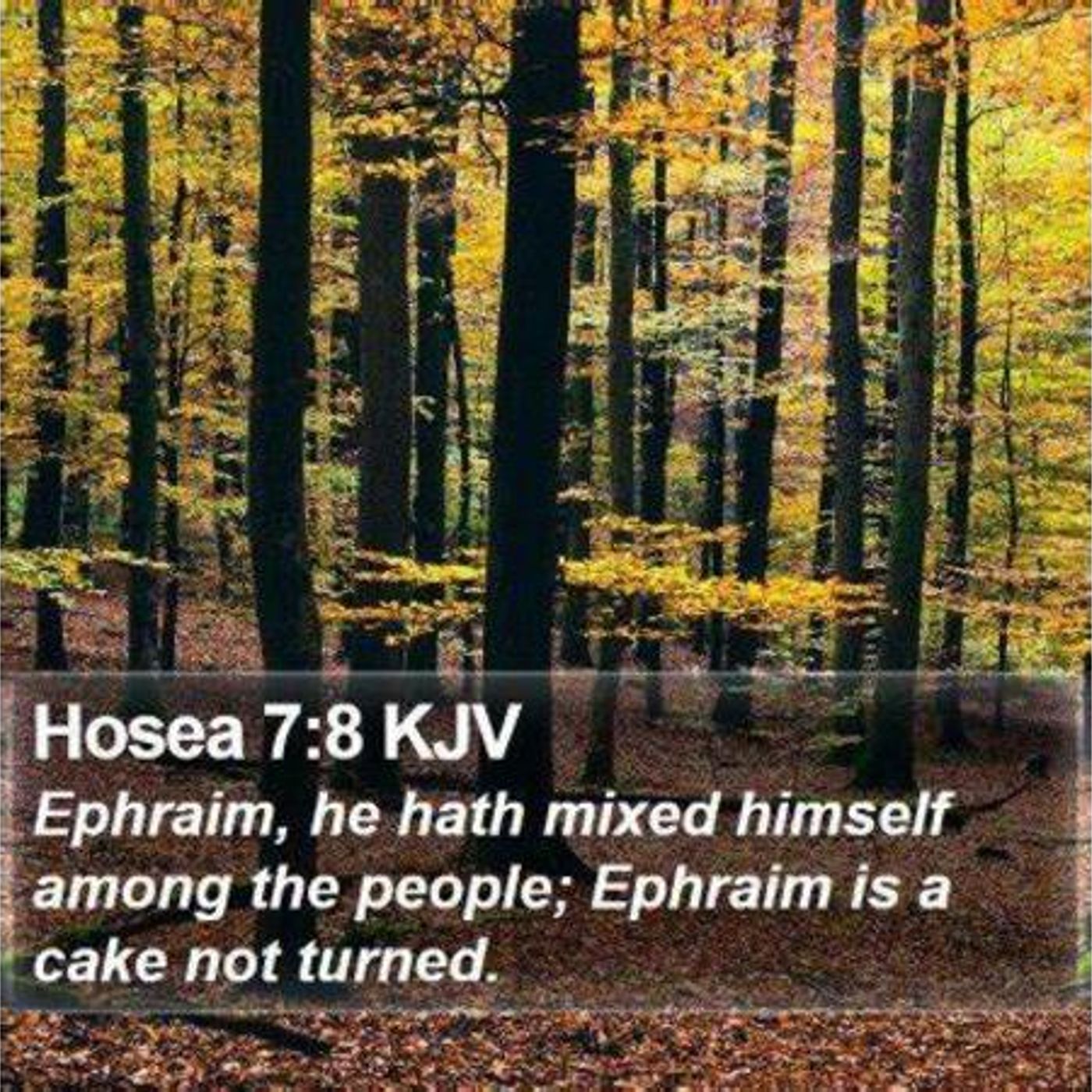 Half-Baked Christians, Half-Baked Churches (Part 1) [B 117] episode artwork