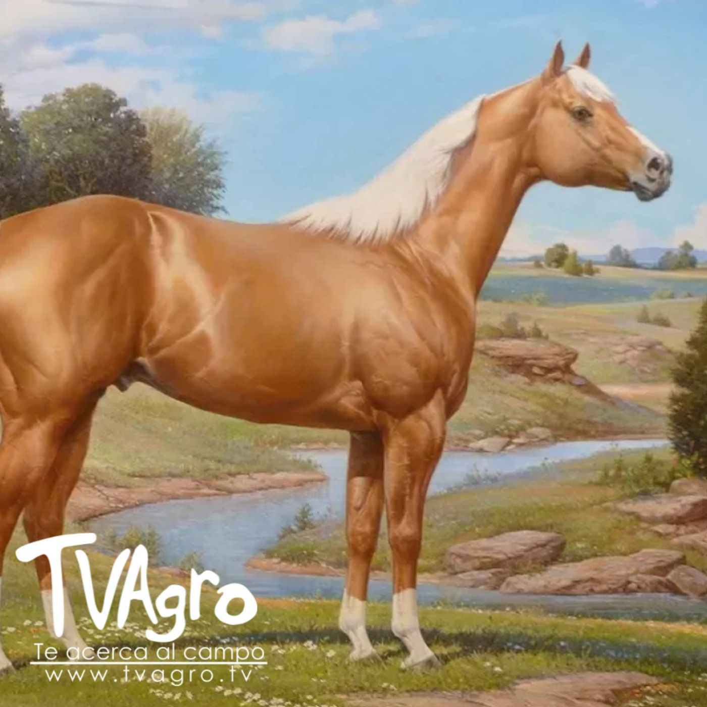 TV AGRO
