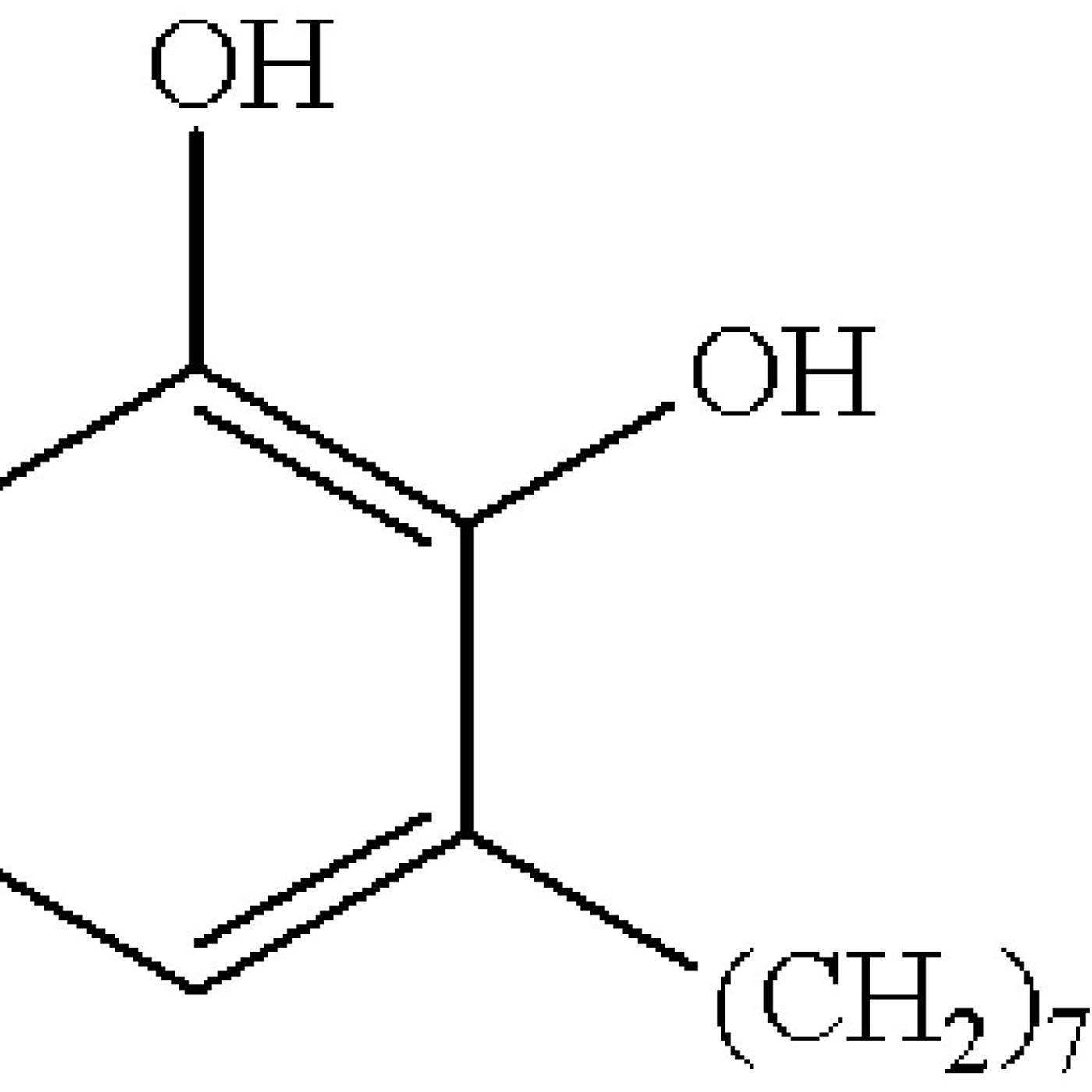 Onlycience