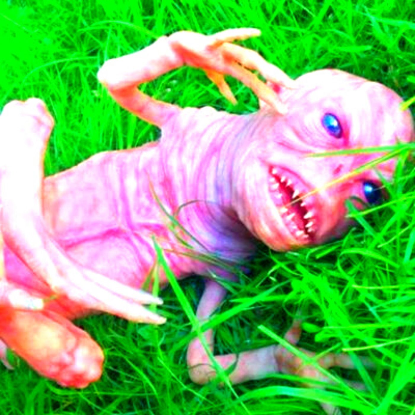 Woman Claims She Was Abducted By Aliens and Impregnated - Mini Series Intro