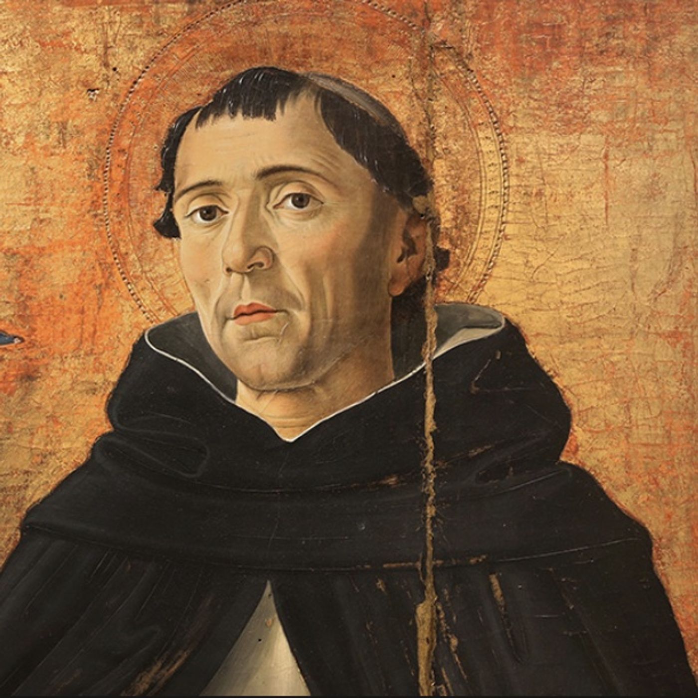 Viernes de la Octava de Pascua. San Vicente Ferrer, sacerdote dominico episode artwork