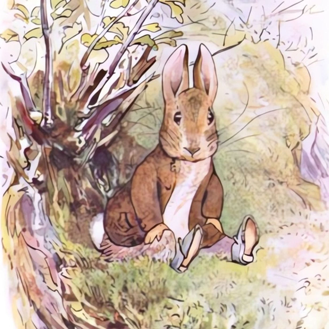 Het verhaal van Konijn Benjamin | Beatrix Potter-verhalen