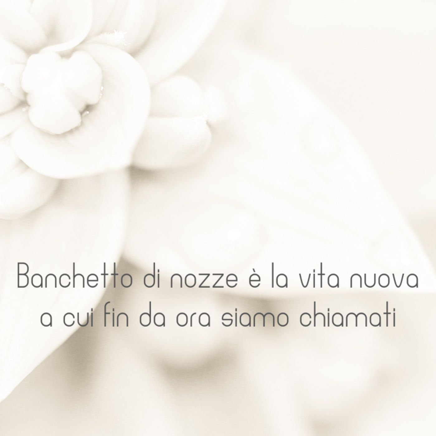 XXVIII Domenica tempo ordinario episode artwork