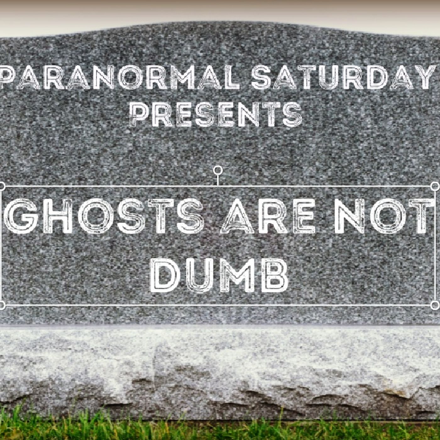 Ghosts are not dumb episode artwork