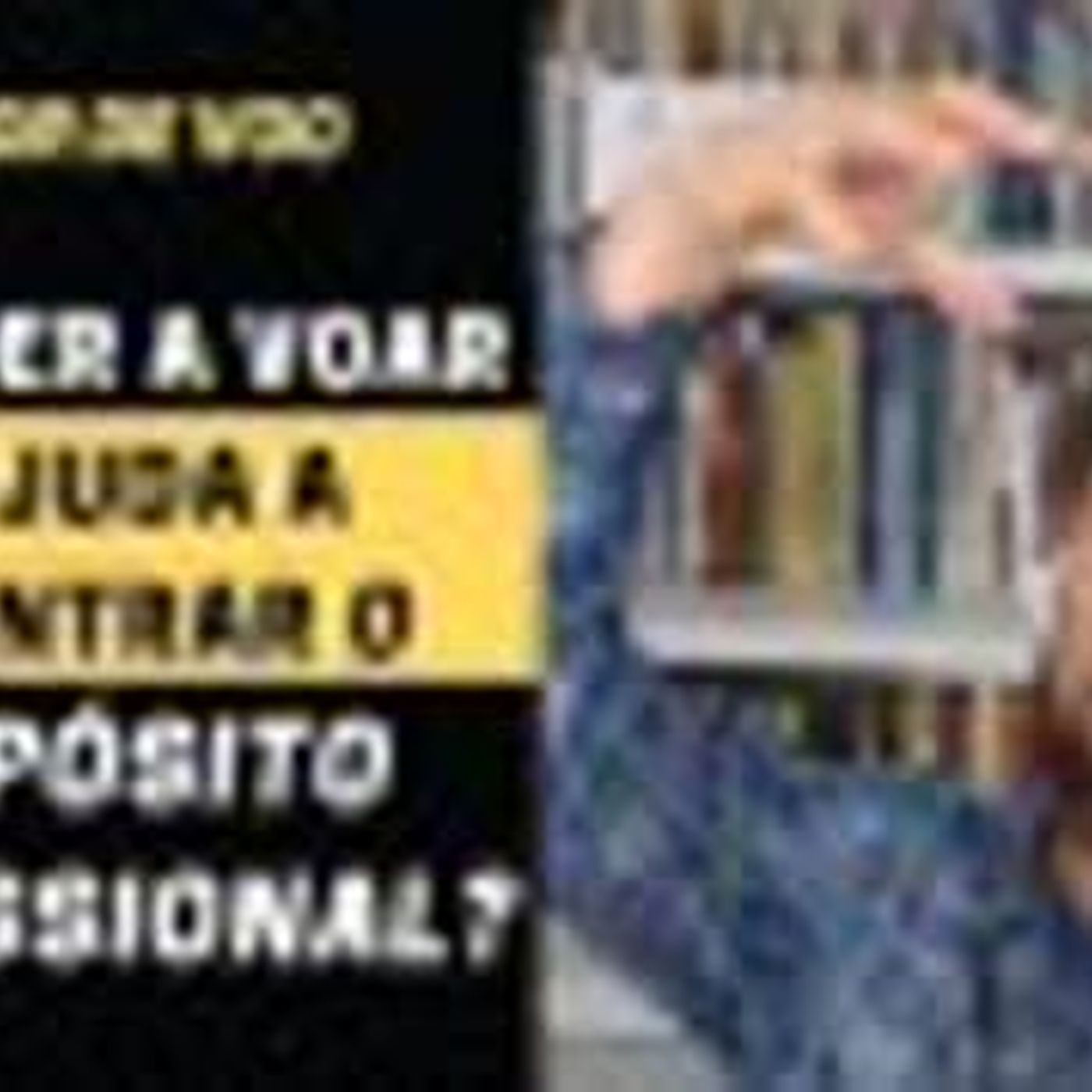 Dion\'ei Mariño - Programa Voo do Bando
