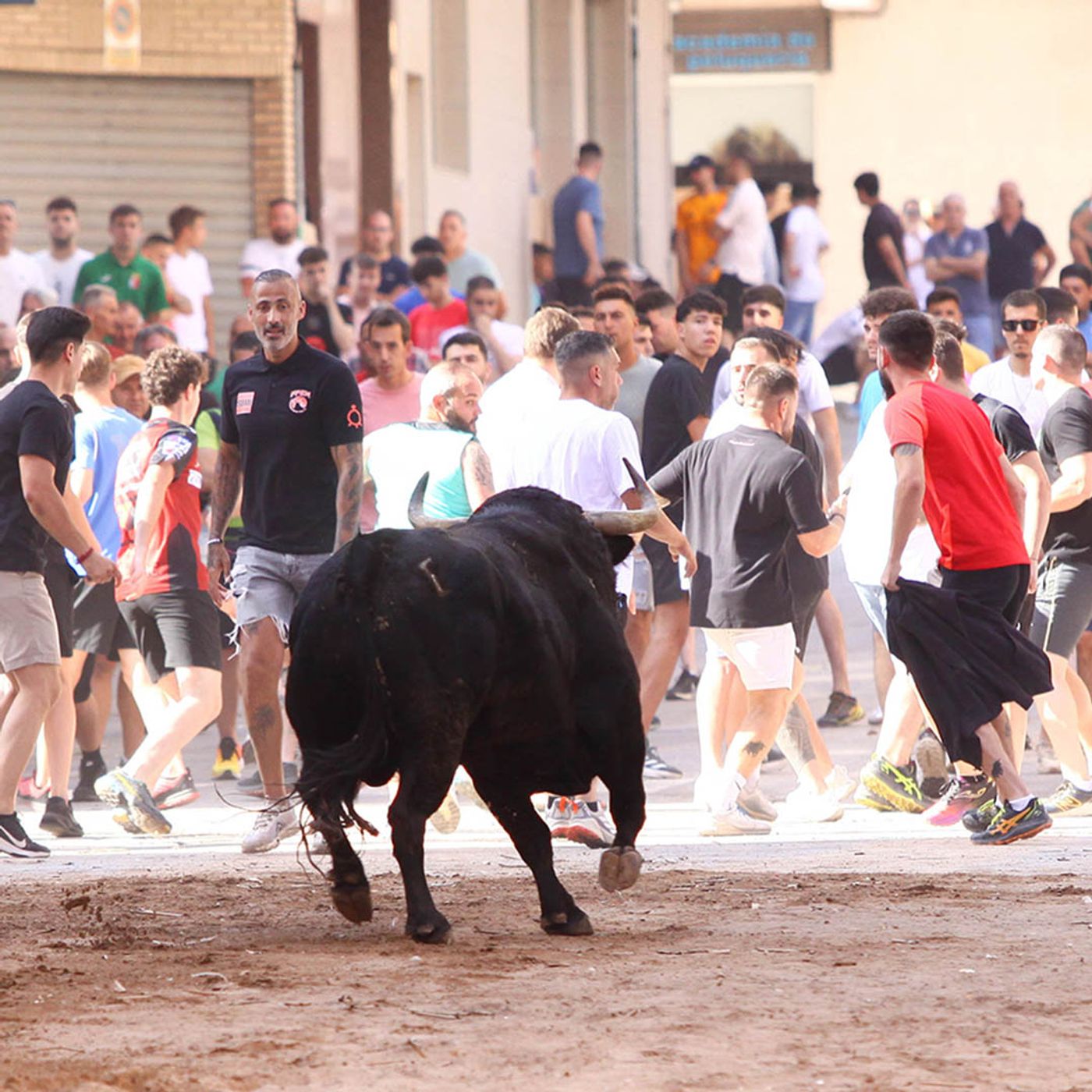 Hablemos de Toros