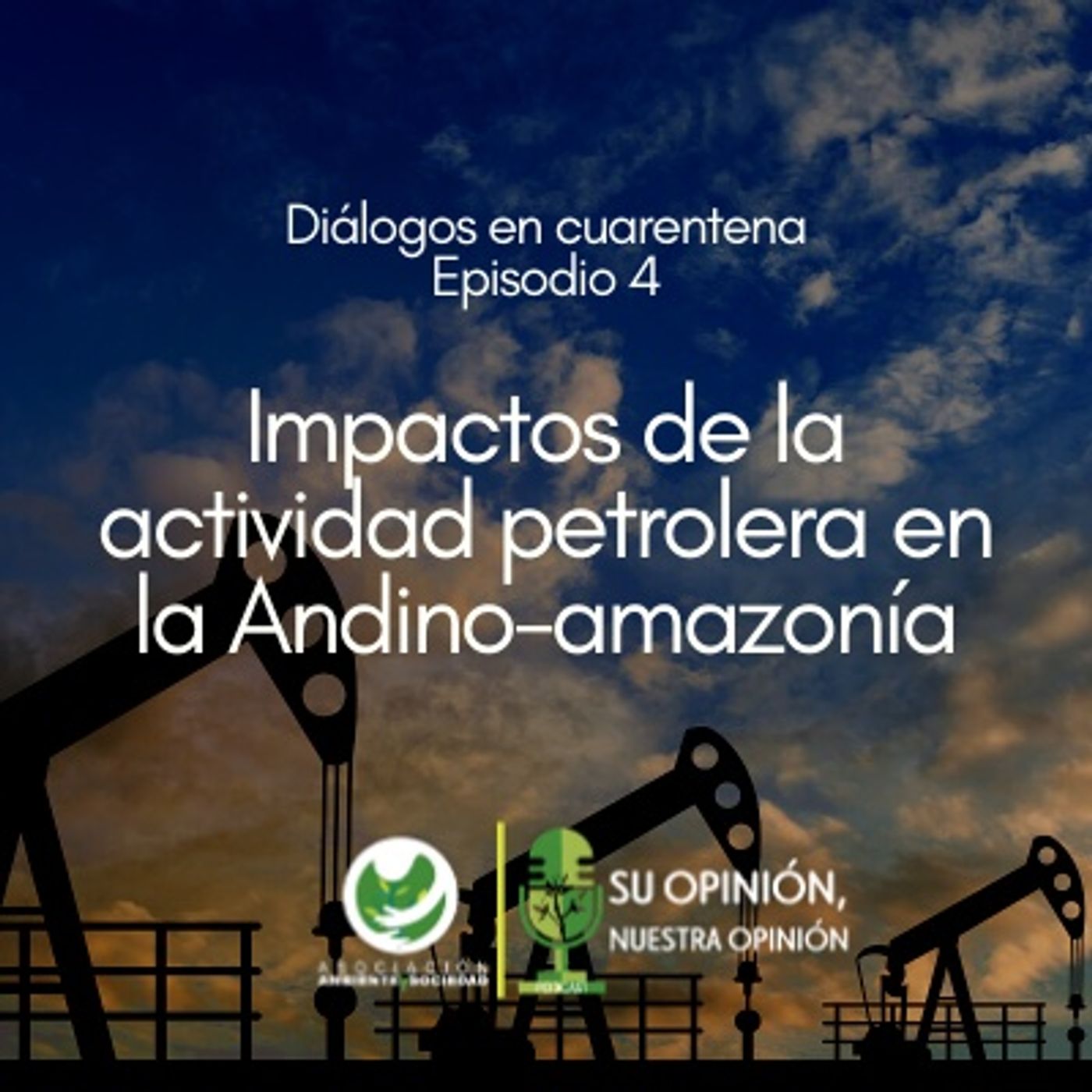 Ambiente y Sociedad