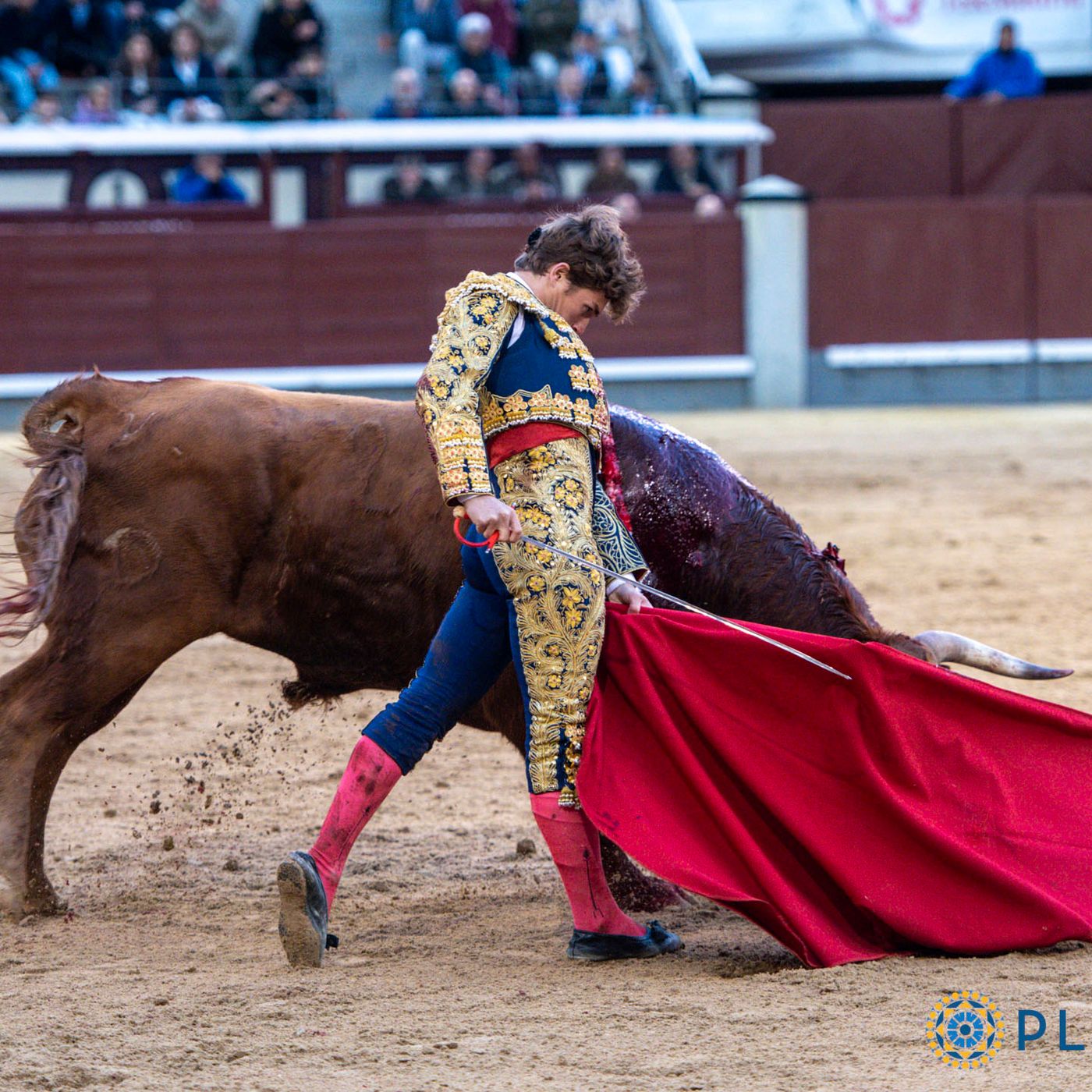 Al Alimón: El novillero Álvaro Serrano conquista la Puerta Grande de Las Ventas