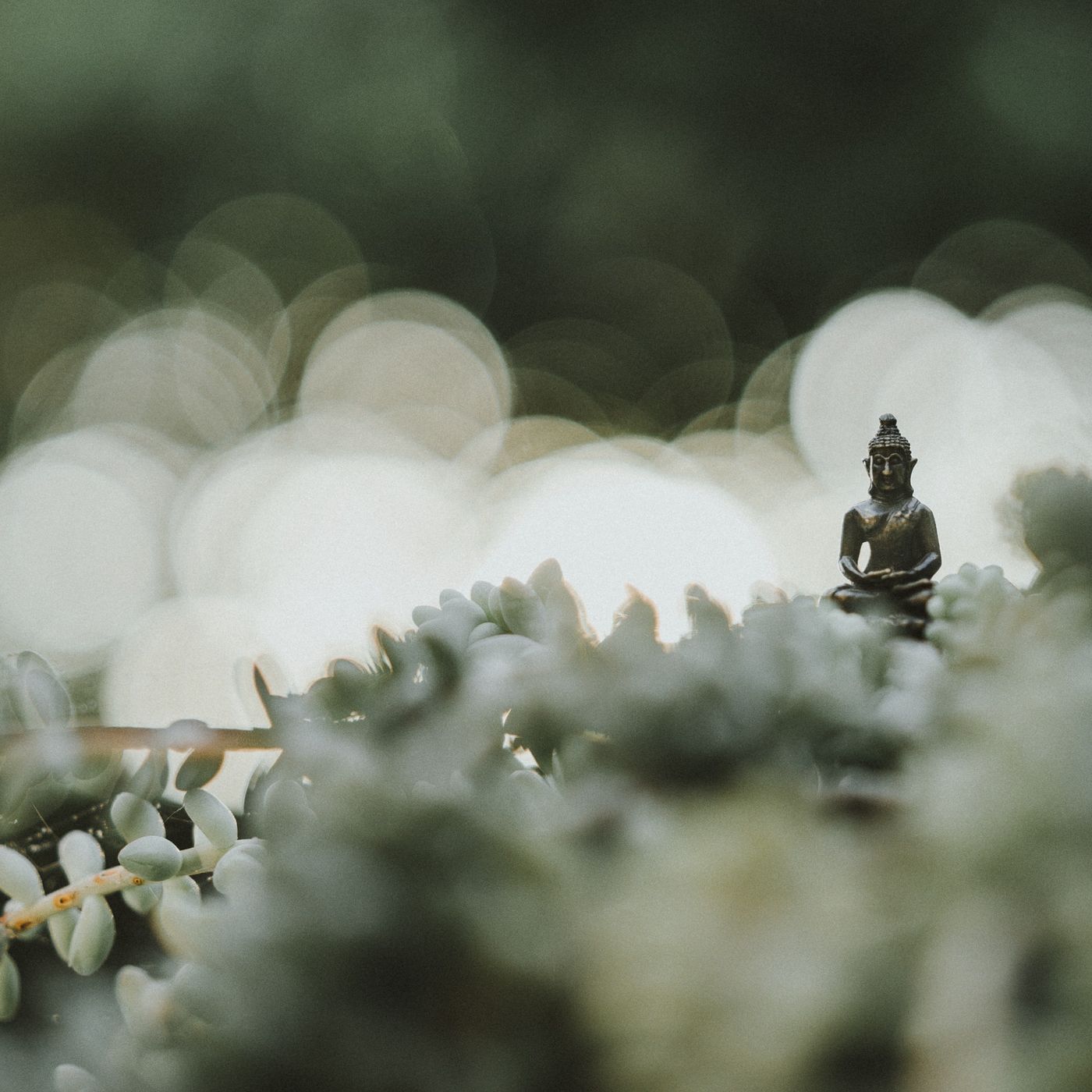 Yogalignement ☾