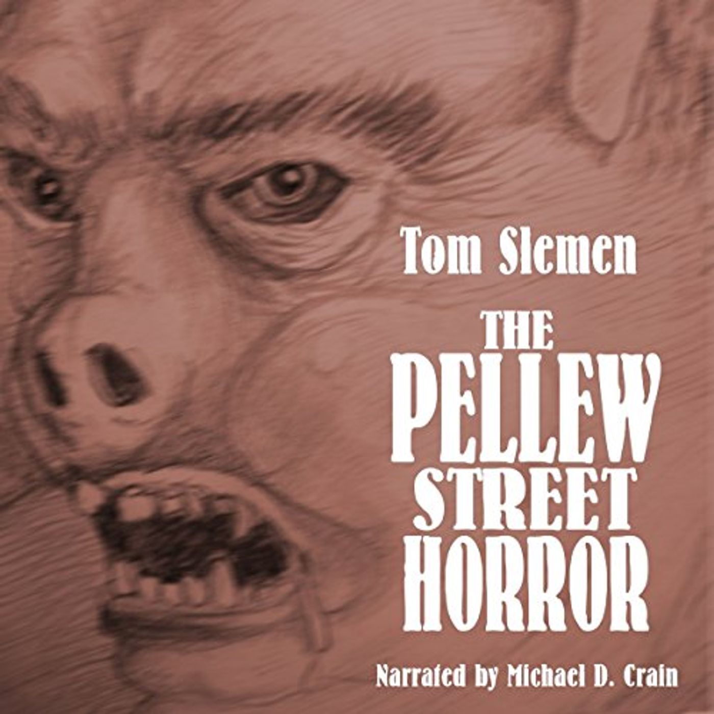 Get Best Audiobooks in Fiction, Horror