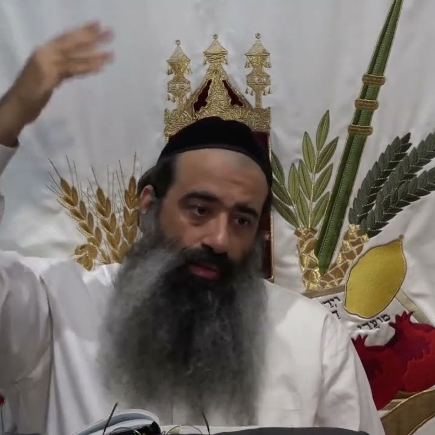 ג מדרגות בהשגה - שיעור 15 | כוונת ה' אחד | אליו ולא למידותיו | הרב מאיר מועלם episode artwork