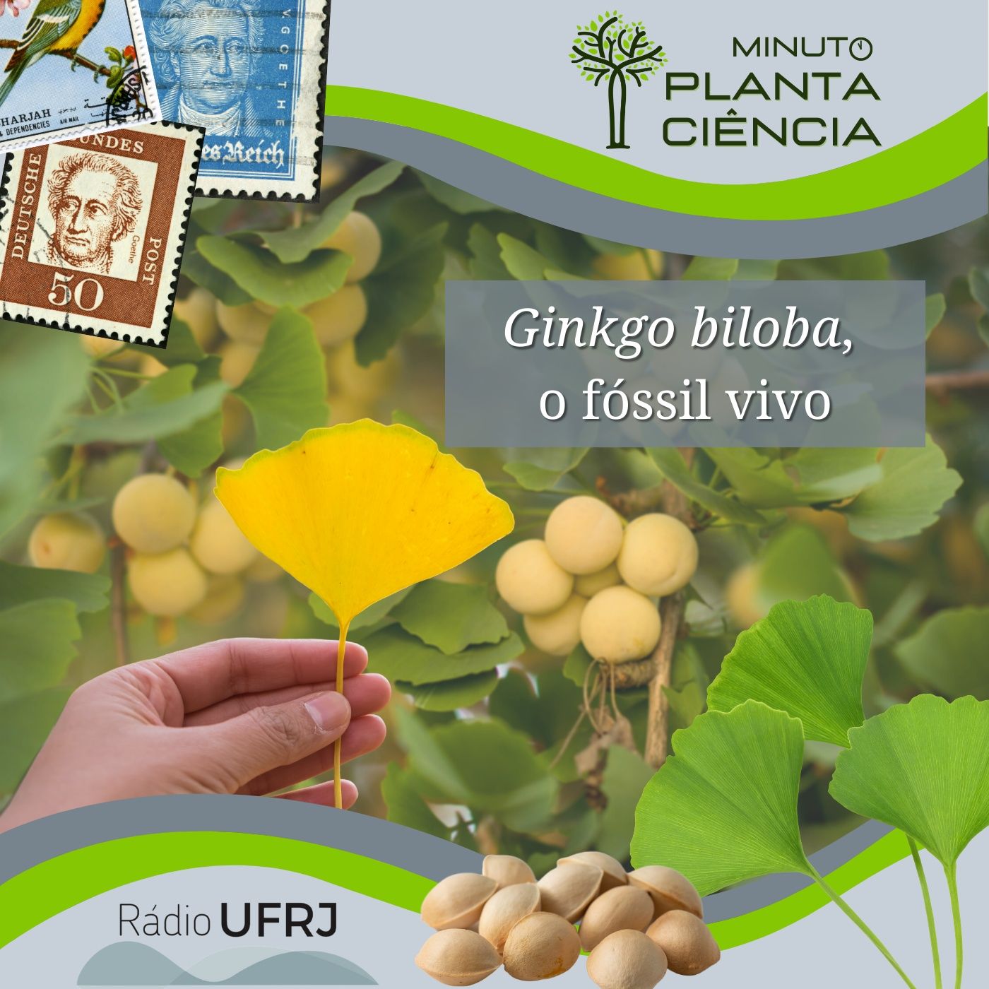 PlantaCiência