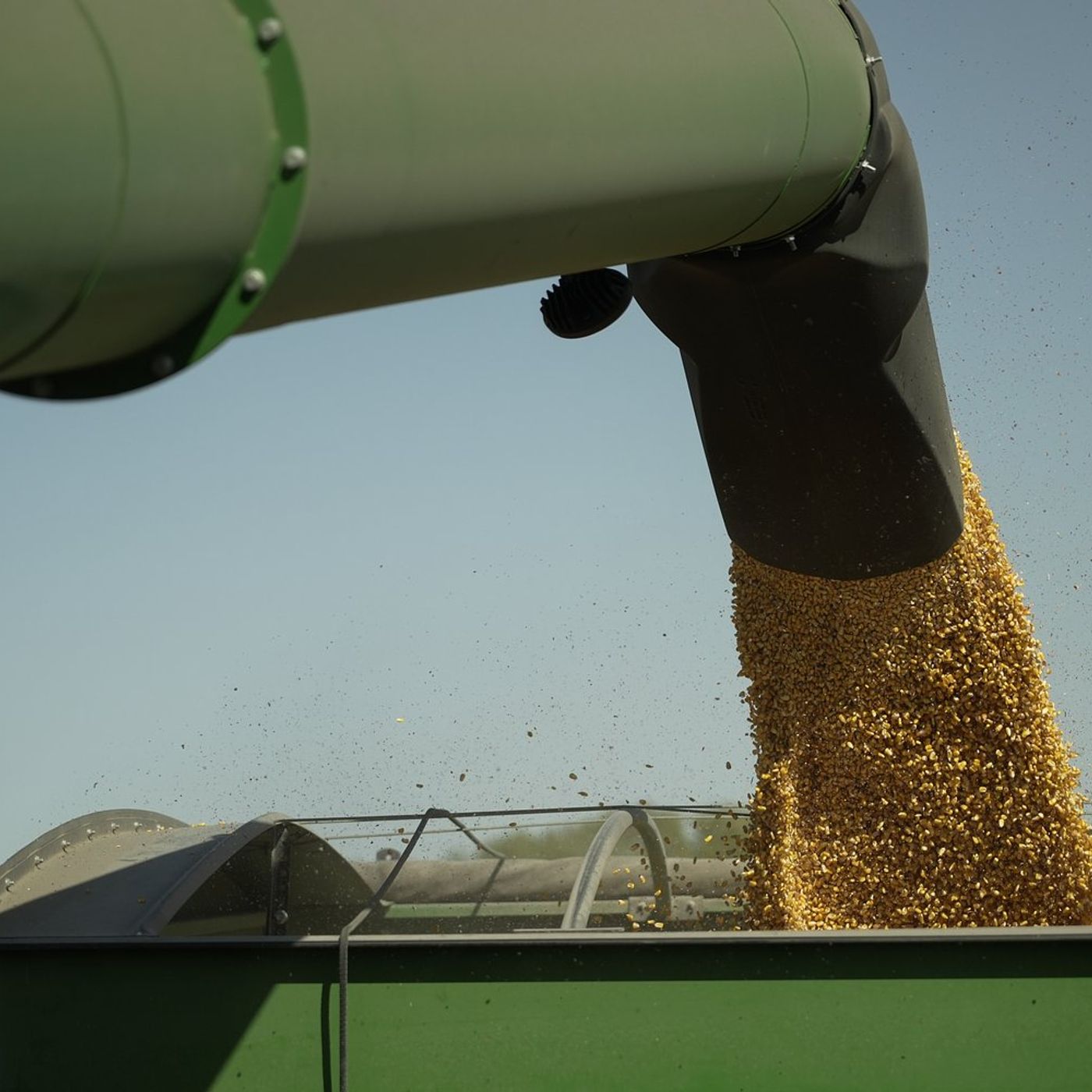 2025 corn crop yield report points to good year for Carroll, Lee Whiteside counties episode artwork