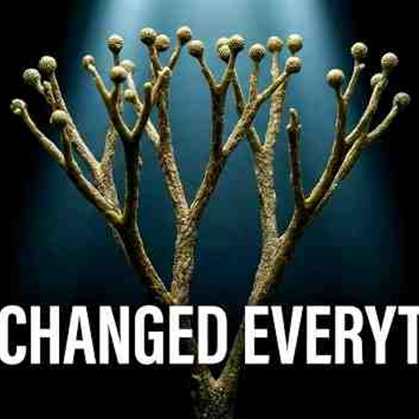 440 Million Years Ago_ The Quiet Revolution That Built Every Living Thing on Land episode artwork