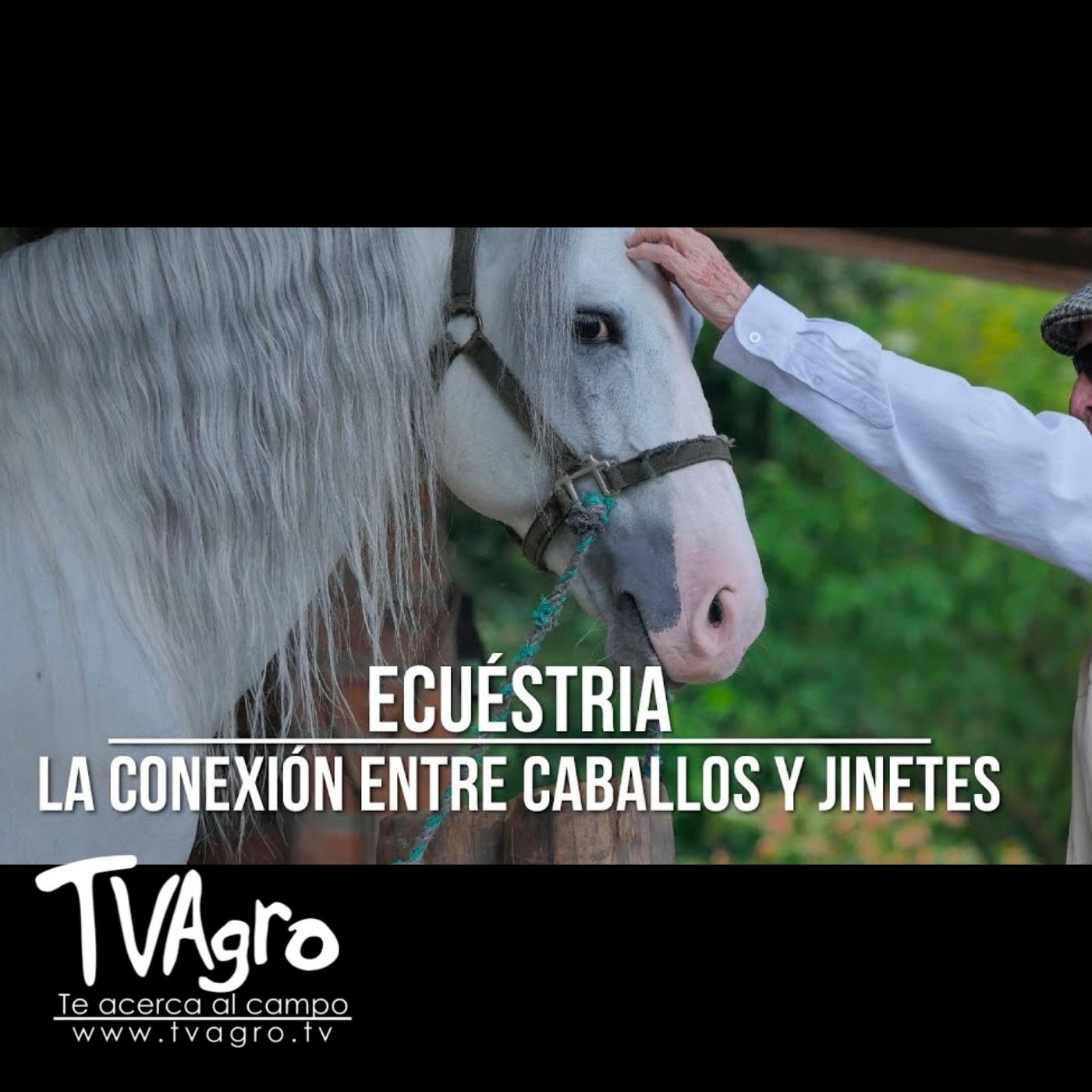 TV AGRO