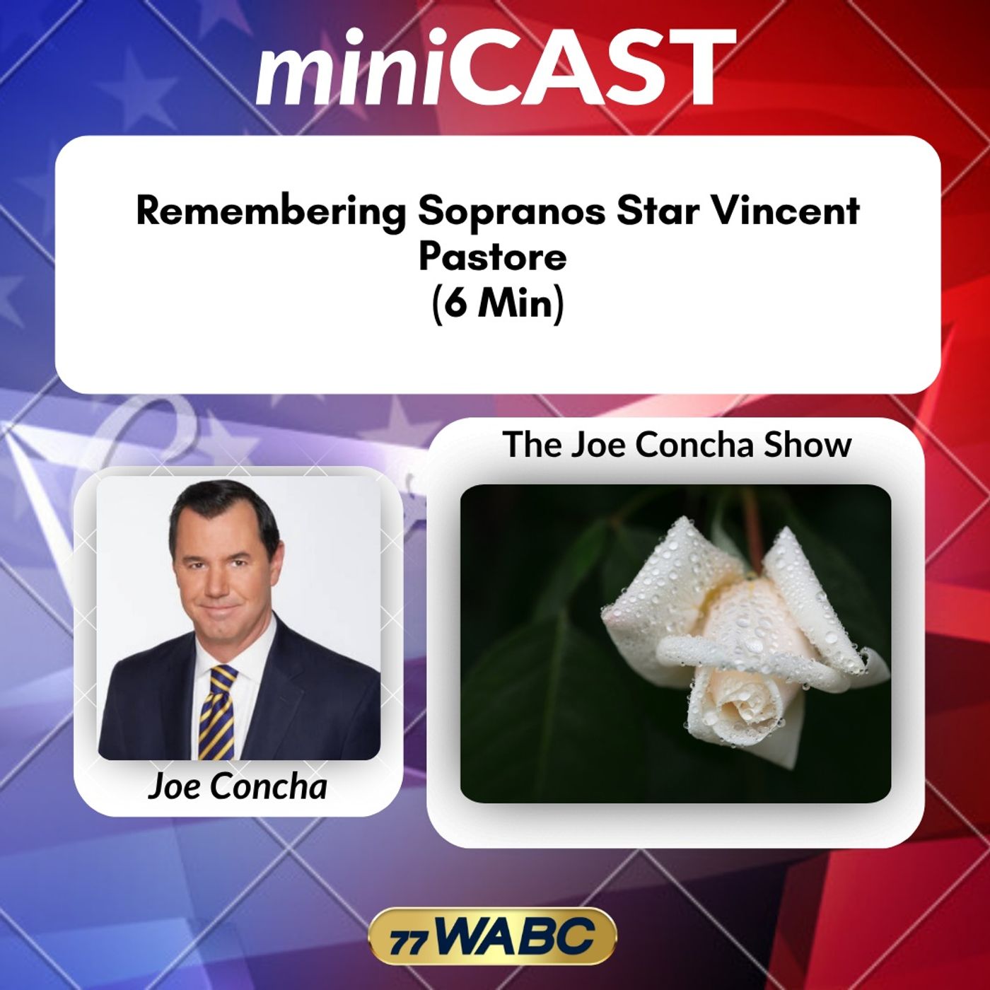 Remembering Sopranos Star Vincent Pastore (6 Min)