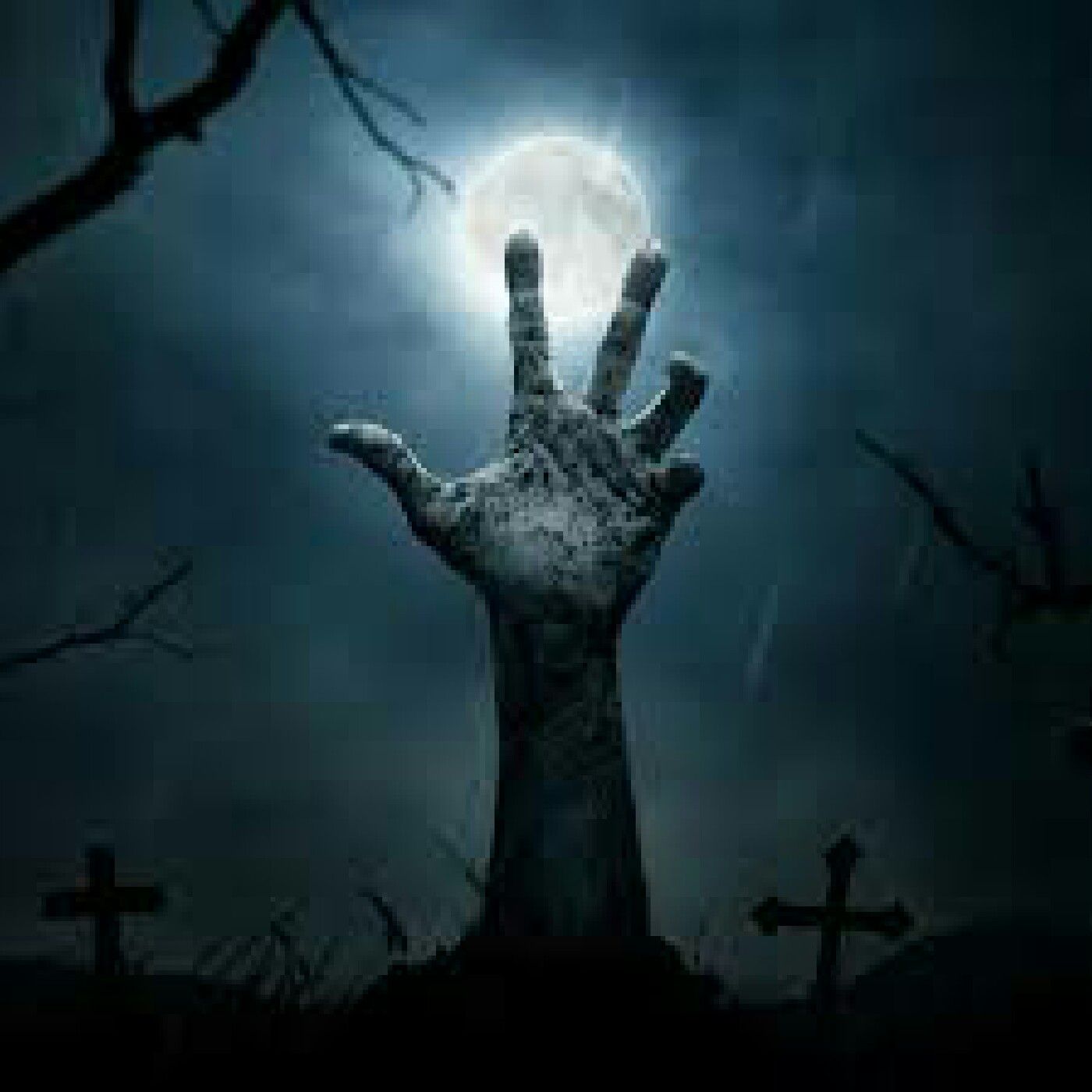 Ruidos en la Morgue