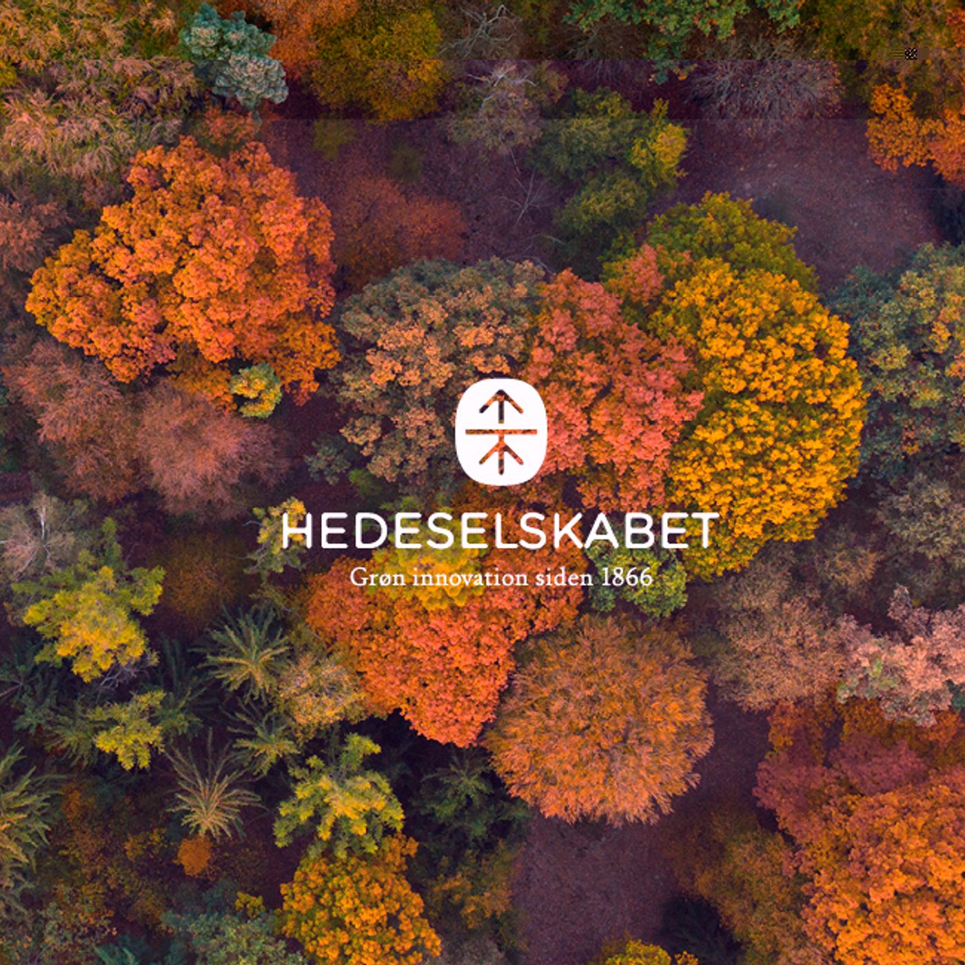 Hedeselskabet