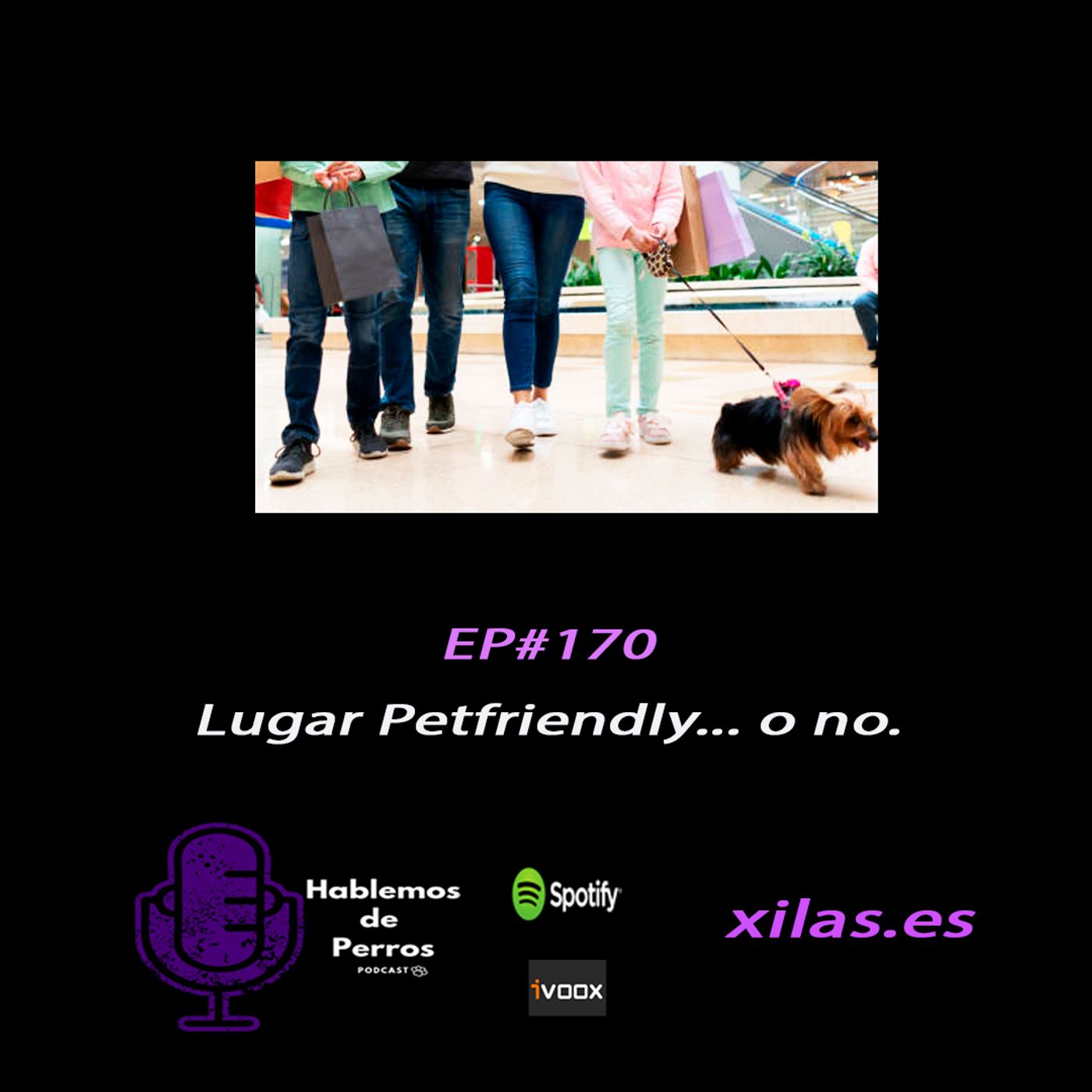 Hablemos de perros
