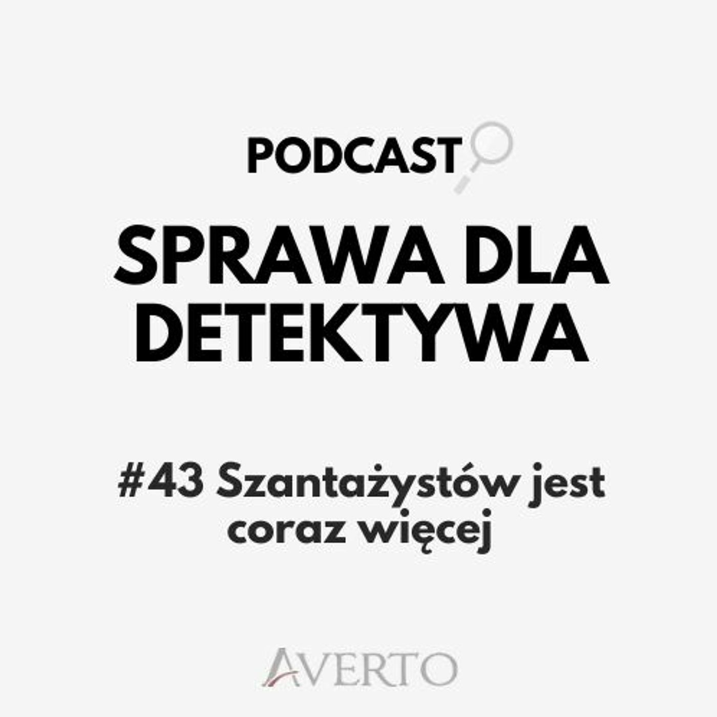Sprawa dla detektywa