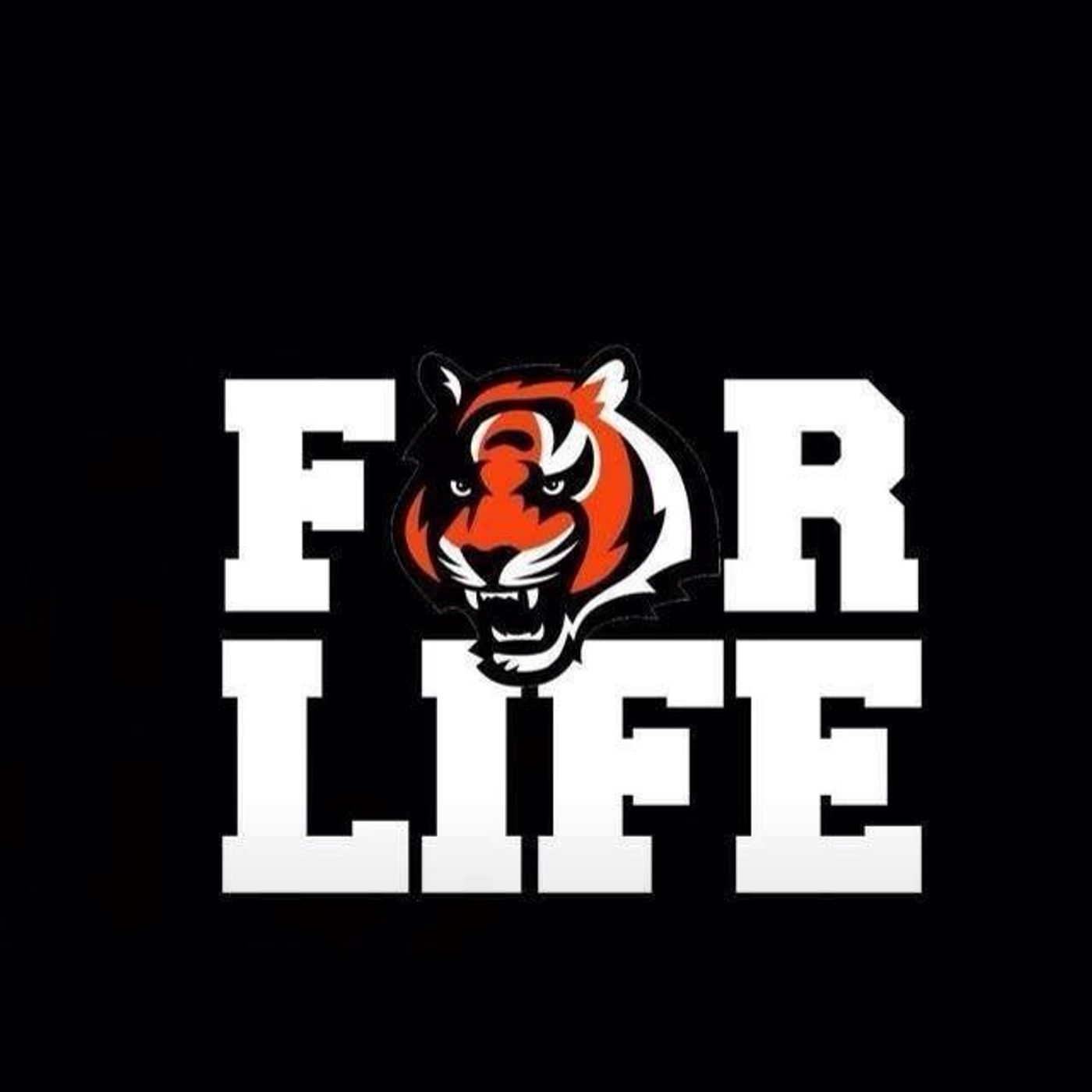 RBF - REAL BENGALS FANS PODCAST #1 - Bengals Offseason