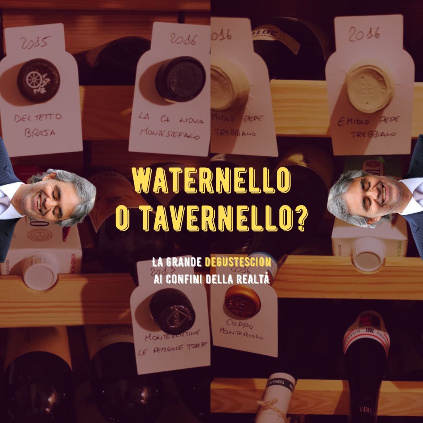IVV Wine Show