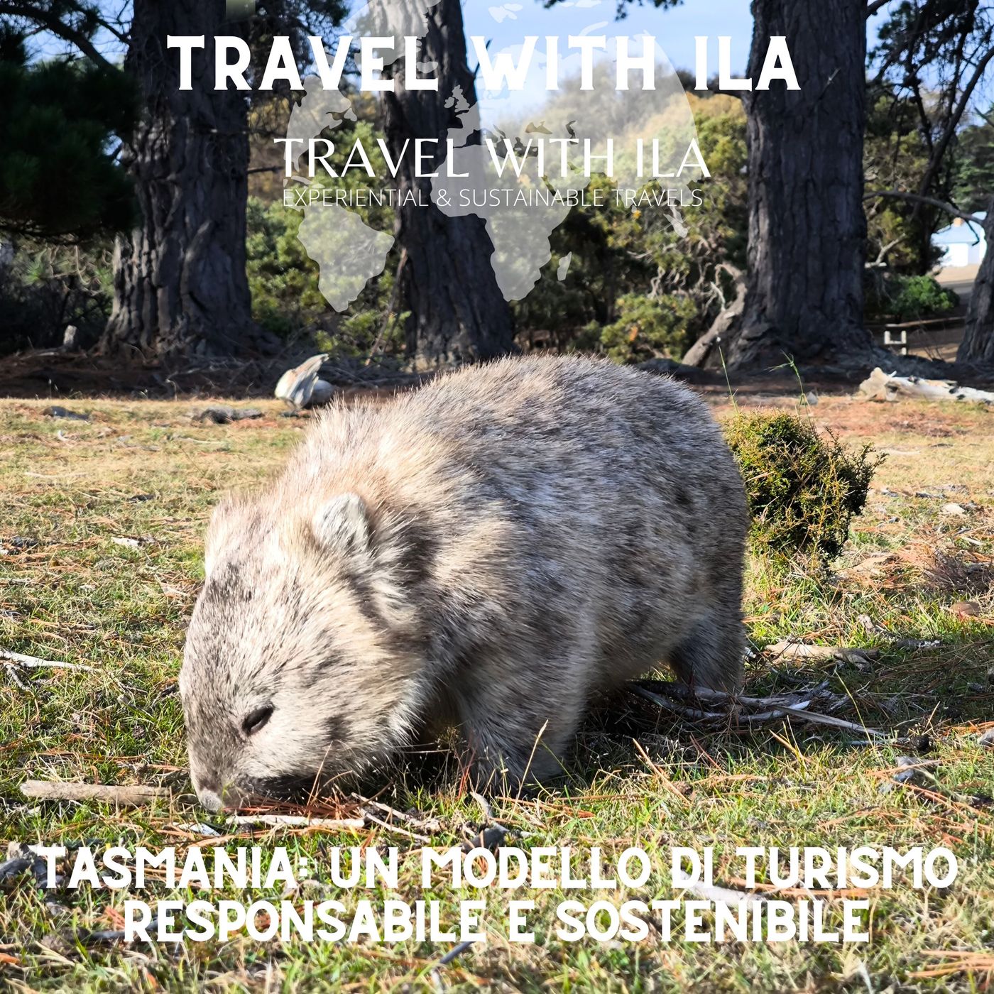 Travel With Ila