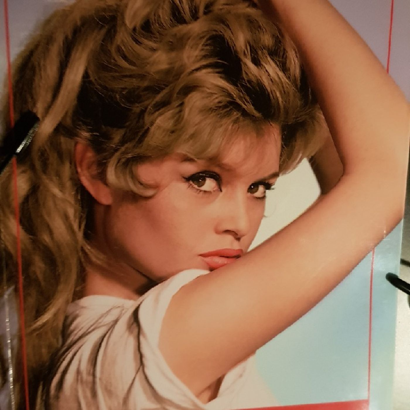 Icone : Brigitte Bardot  - BB