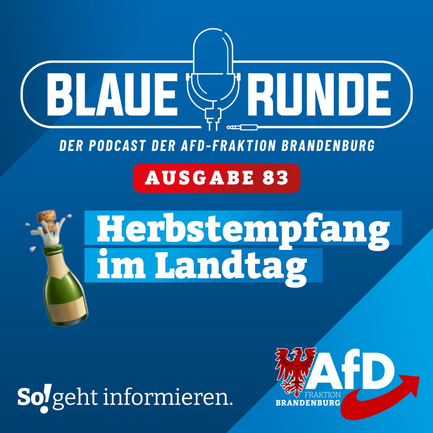 Herbstempfang im Landtag | Die BLAUE RUNDE, Ausgabe 83/23 vom 07.10.2023 episode artwork