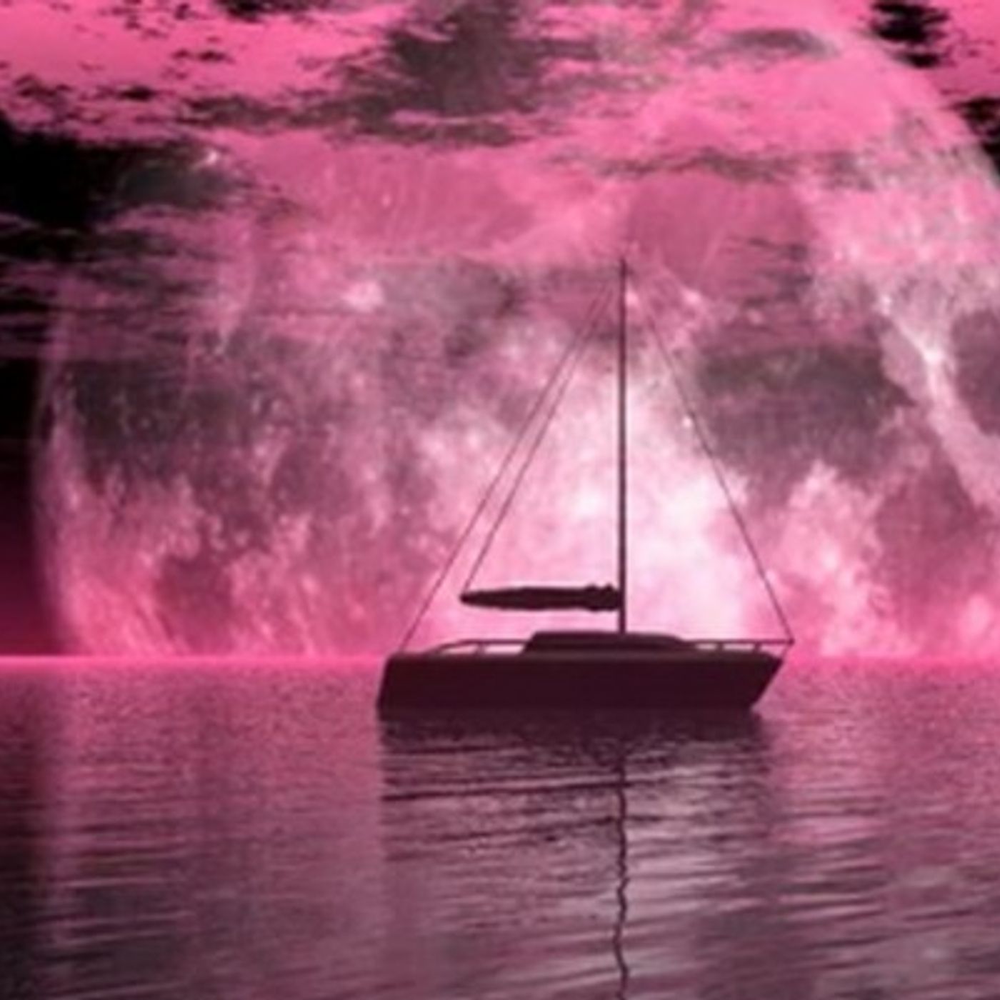 Tracce di Domenico Tota