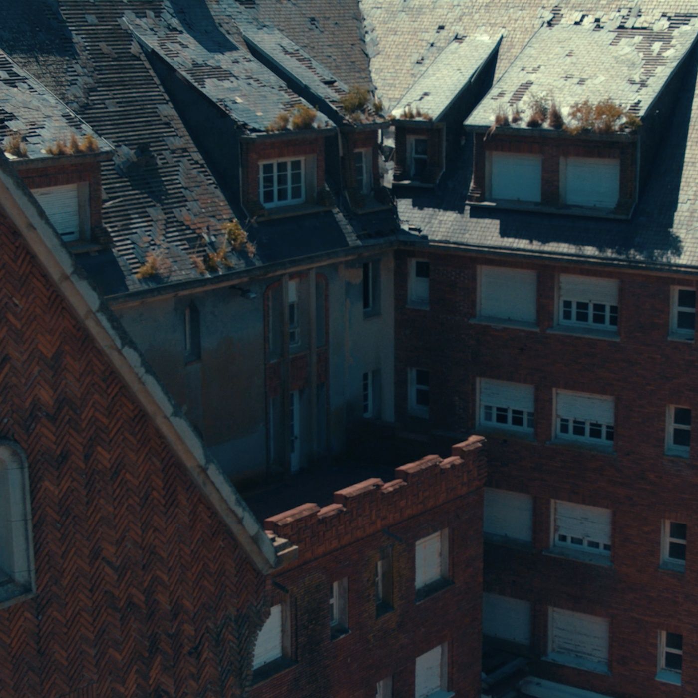 07 - El tulipán negro