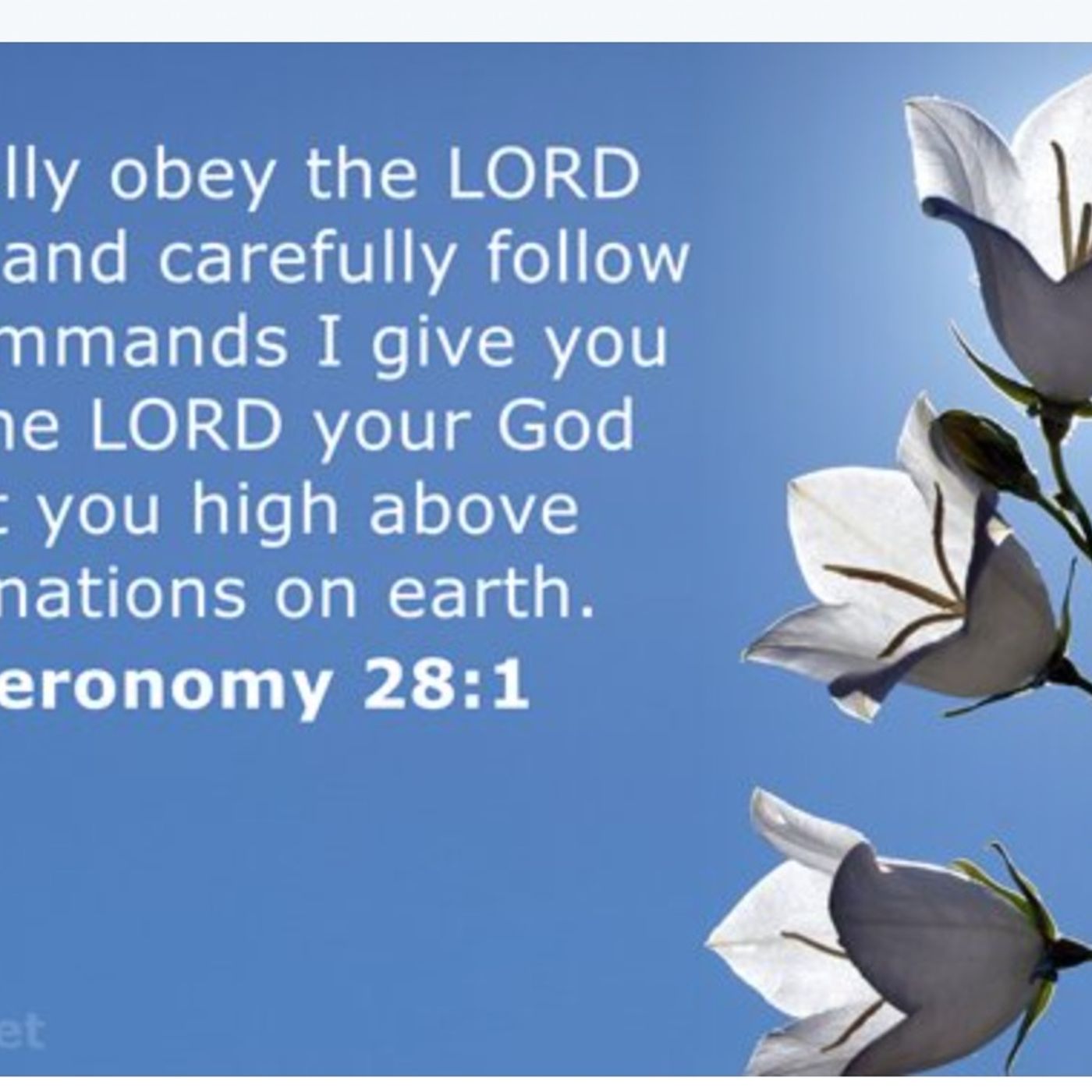 Deuteronomy chapter 28