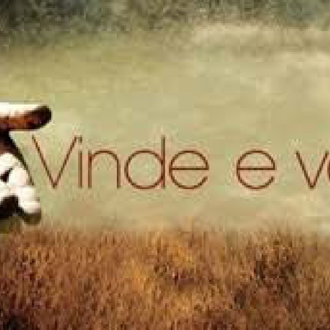 Vinde e vê, segue a Cristo_ Ele quer se ŕcvelar a você...João 1.35-46 episode artwork