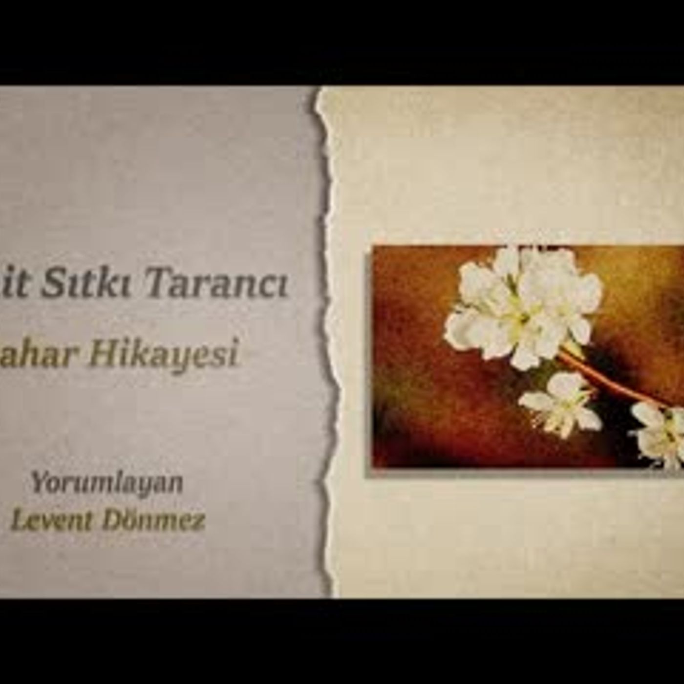 Cahit Sıtkı Tarancı   Bahar Hikayesi episode artwork