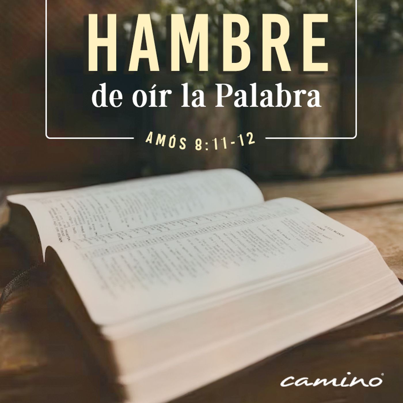 Oración 18 de mayo (Hambre de oír la Palabra) episode artwork