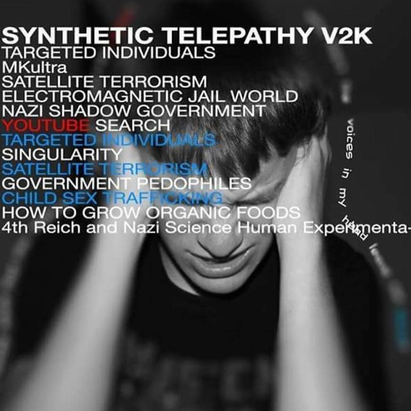 68 - Targeted Individuals episode artwork