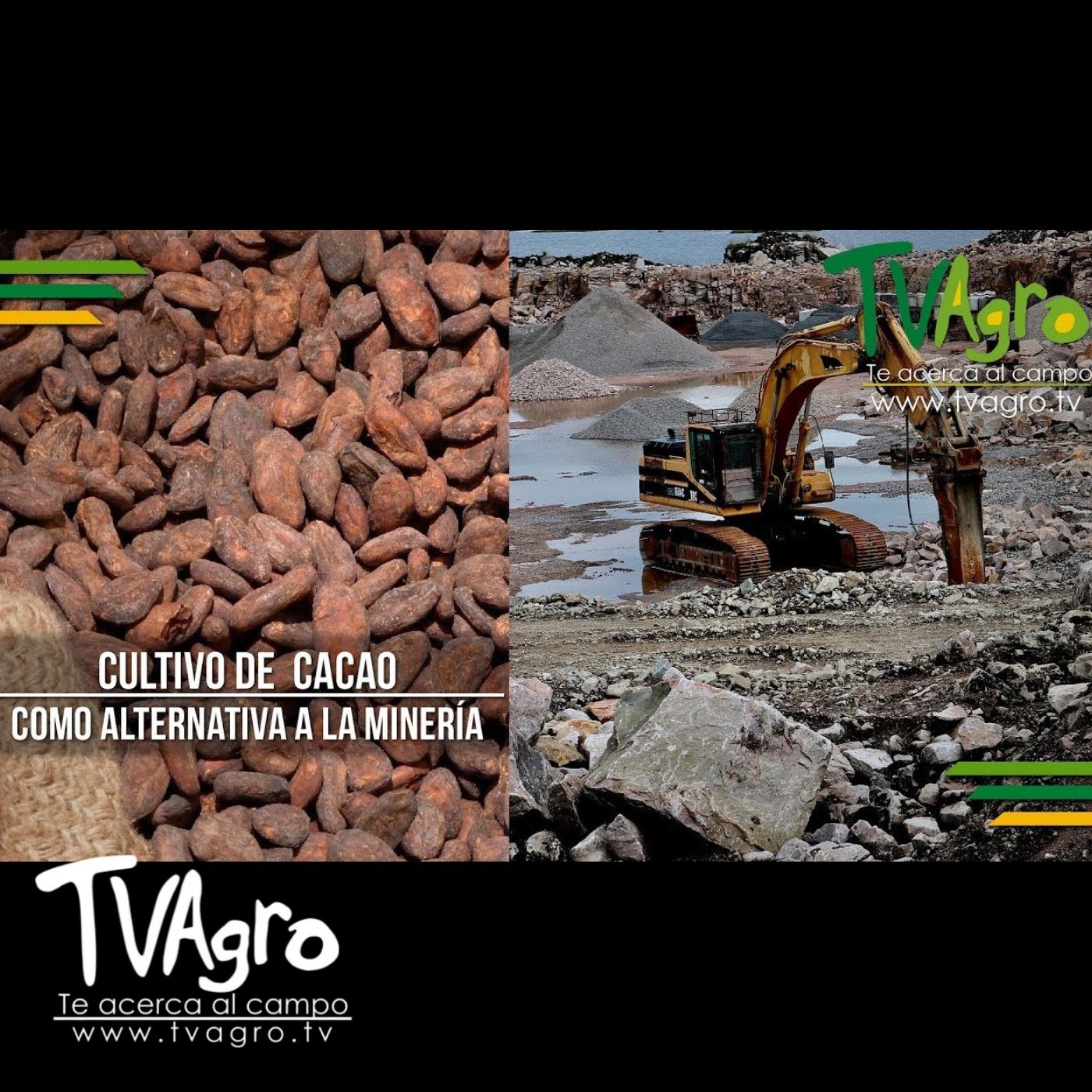 TV AGRO