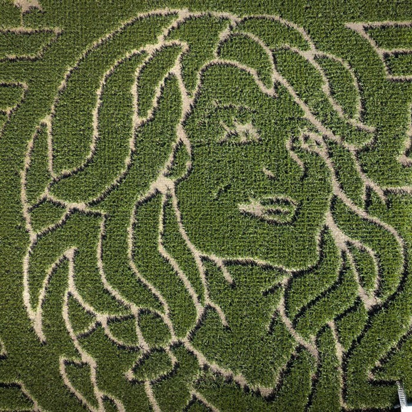 Dolly Parton to Be Honored With Corn Mazes Across North America Benefiting Her Imagination Library episode artwork