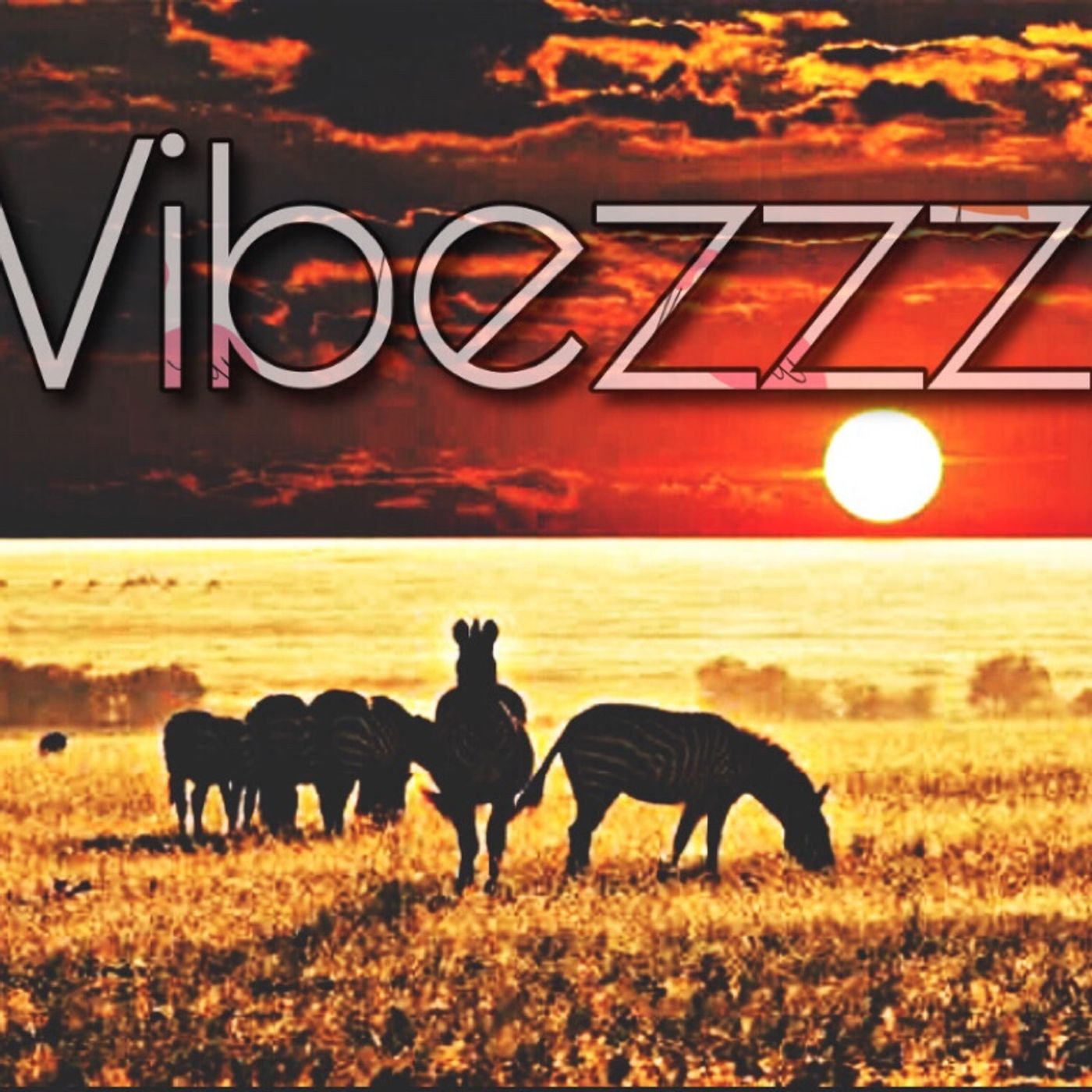 Vibezzz episode artwork