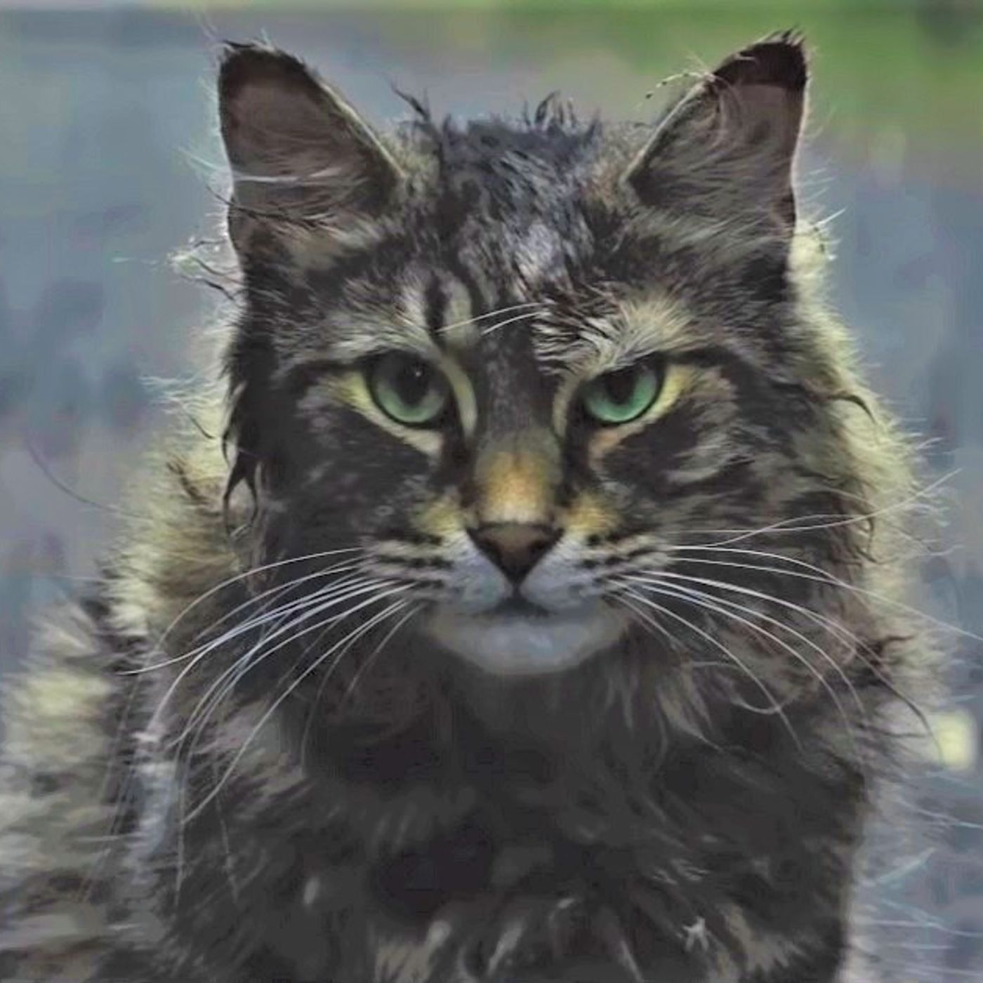 Pet Sematary episode artwork
