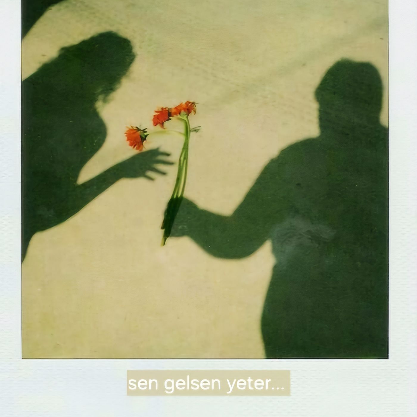 Gözyaşımda Saklı...