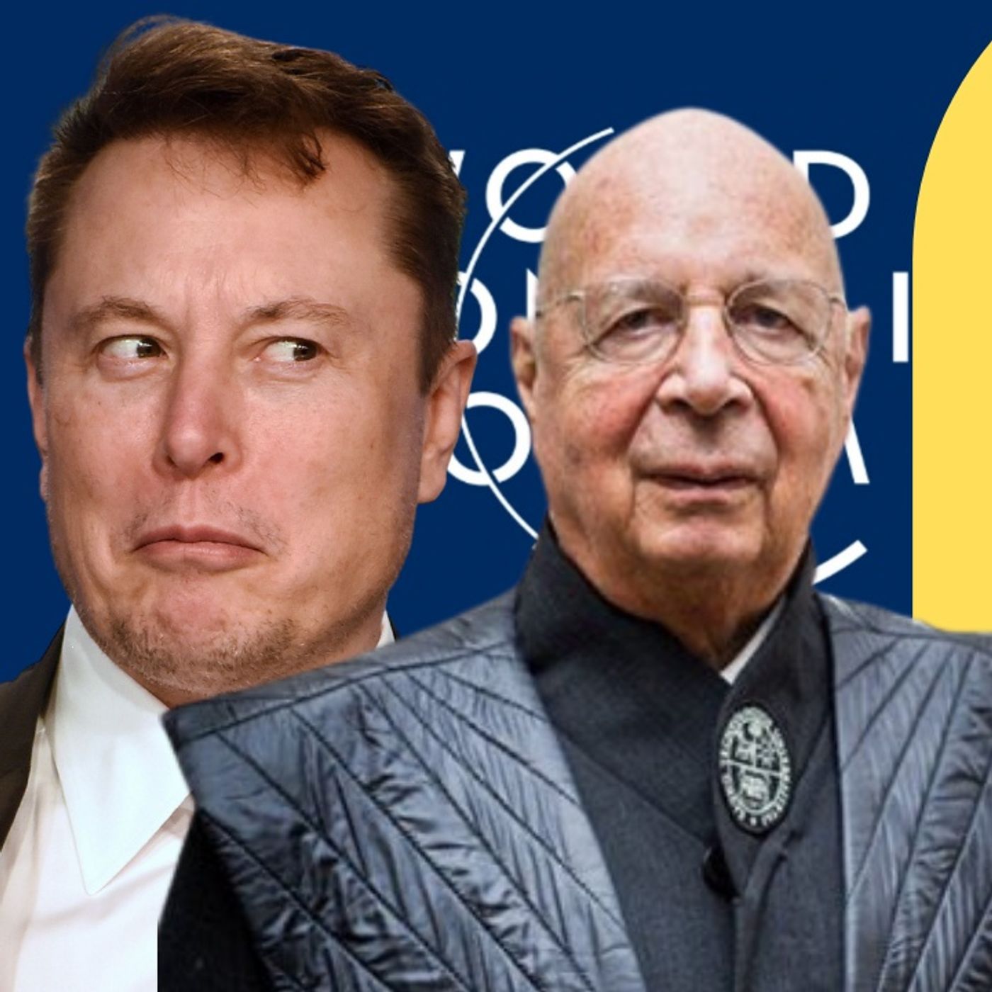 ELON MUSK Mocks The WEF