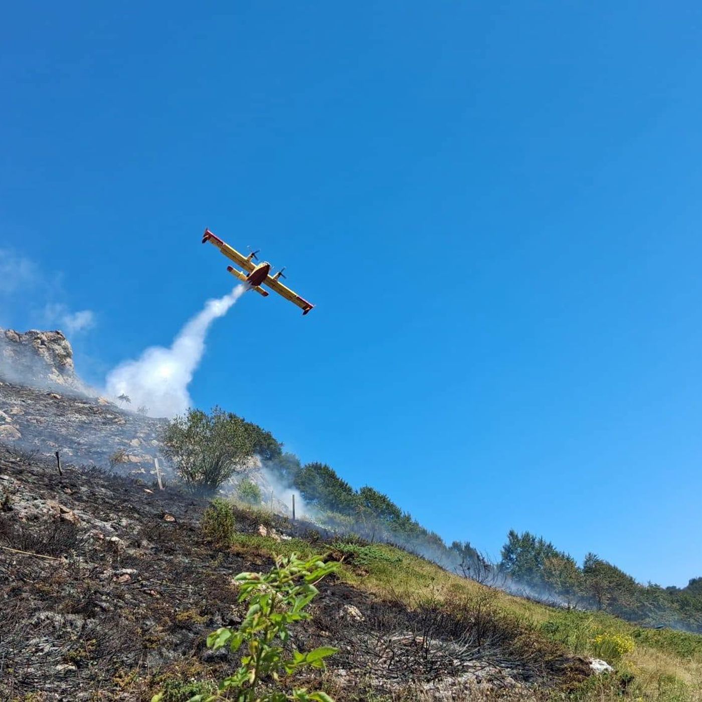 Incendio a Crespadoro: task force di pompieri e AIB a protezione delle case episode artwork