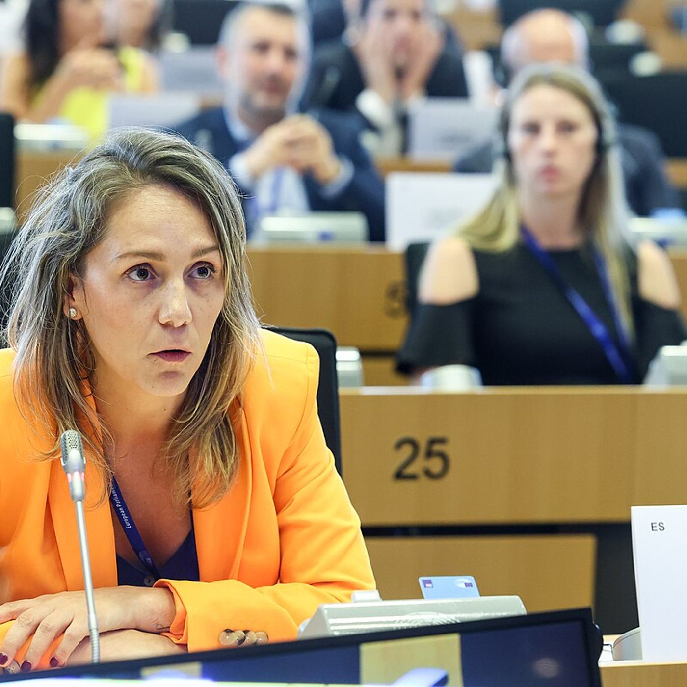 Alma Ezcurra: "La tasa no era obligatoria y había otros mecanismos para cumplir los objetivos"