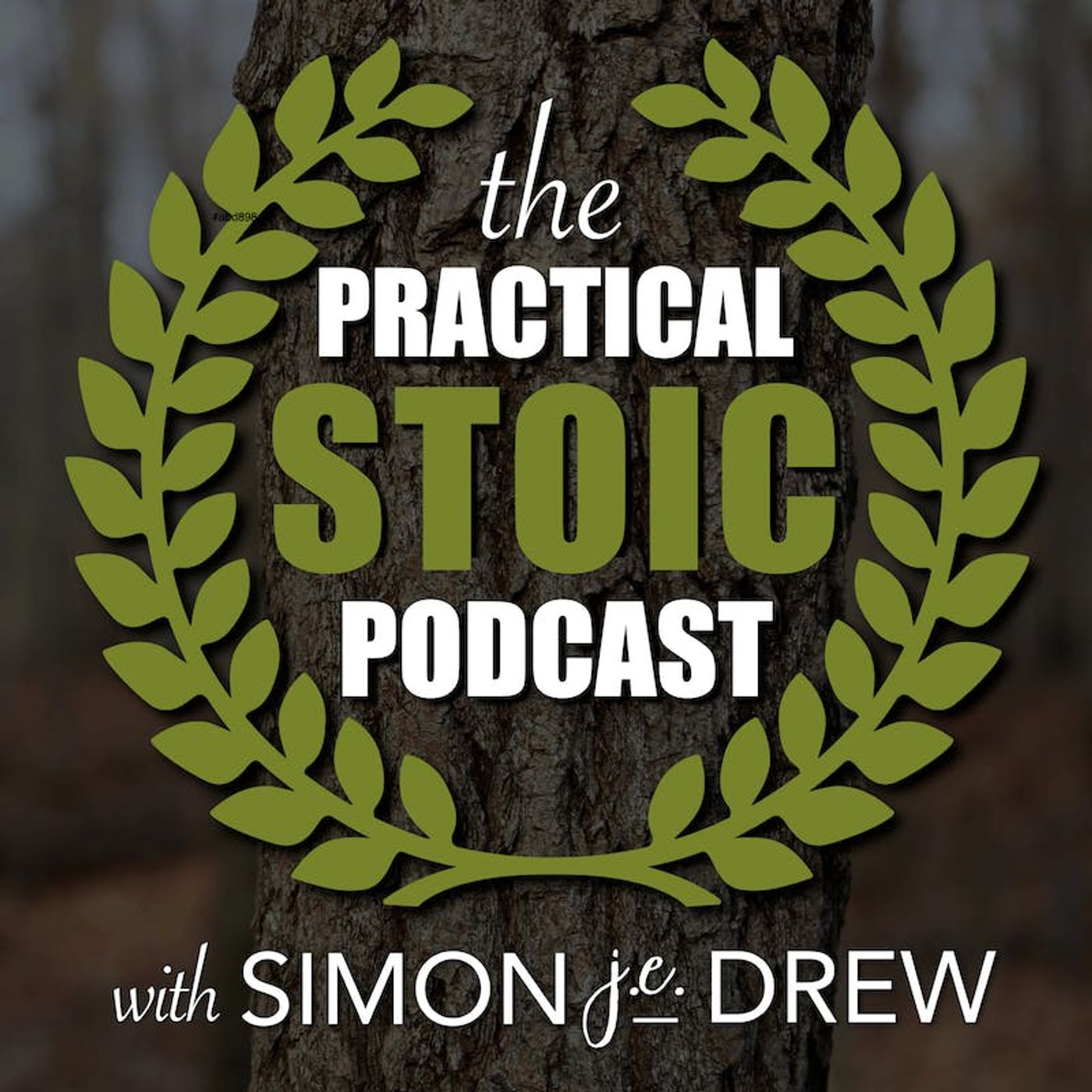 The Practical Stoic